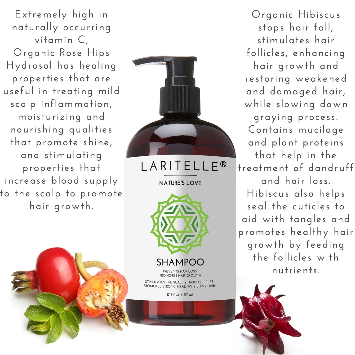 Laritelle Organic Shampoo 17 oz + Conditioner 16 oz | Prevents Hair Loss, Promotes Hair Growth | Argan Oil, Rosemary, Ginger & Cedarwood | NO GMO, Sulfates, Gluten, Alcohol, Parabens, Phthalates
