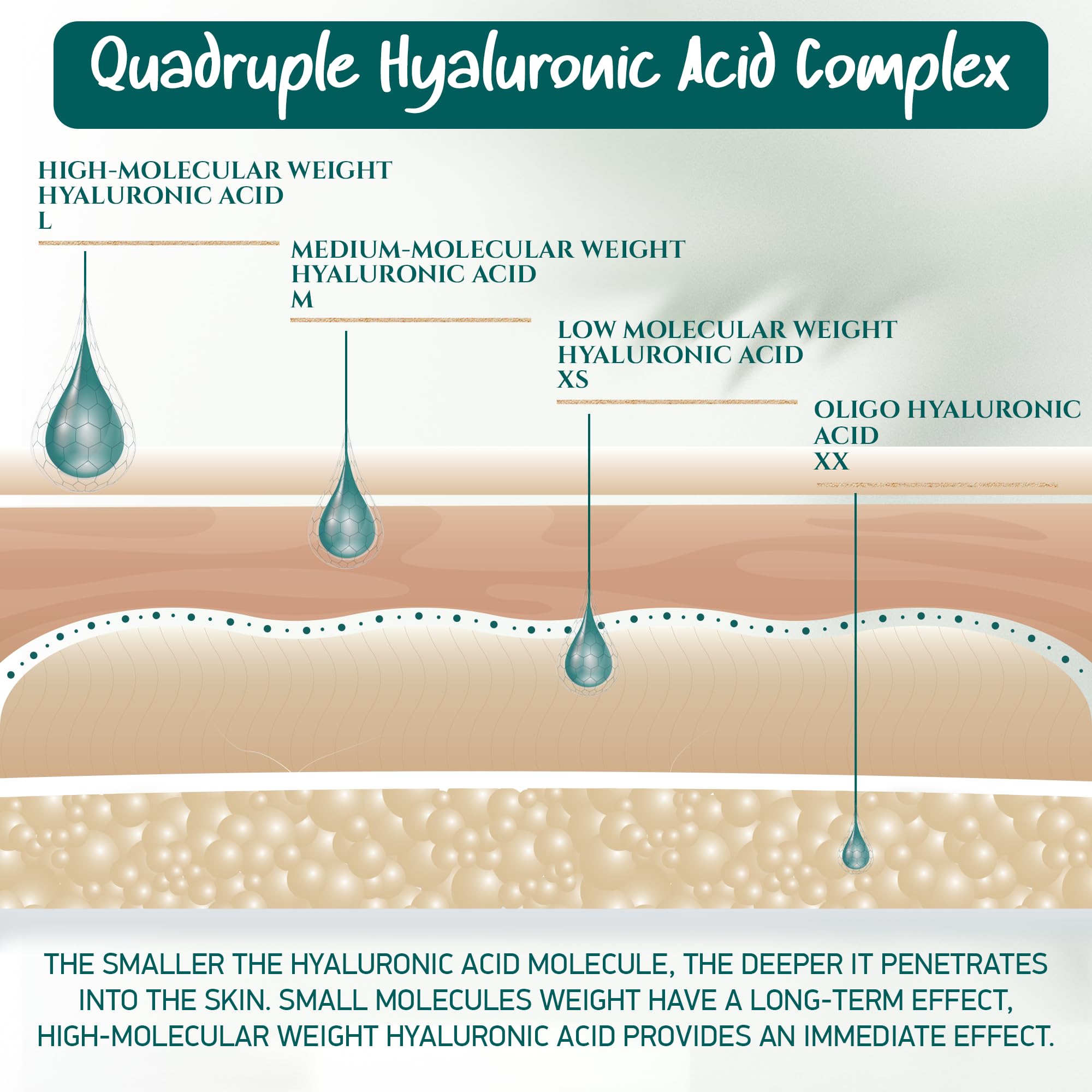 Organic Hyaluronic Acid Serum for Face | Best Hyaluronic Acid (Oligo) + 4 Hyaluronic Sizes - Highly Dosed | Hydrating Serum - Aging-Aging Moisturizer – Fragrance-Free | Made in Germany