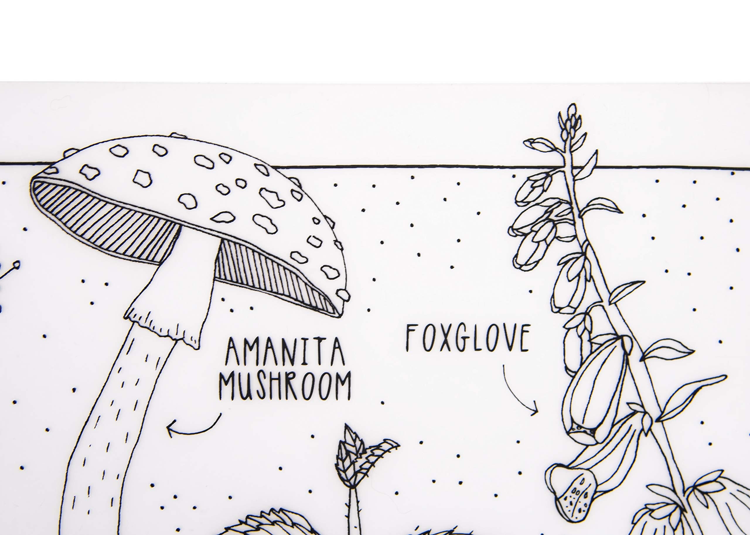 modern-twist 10 x 14 Reusable, Waterproof Coloring Mark-Mat Sheet for Kids, 100% Food-Grade Silicone, Pack of 1, Dangerous Plants