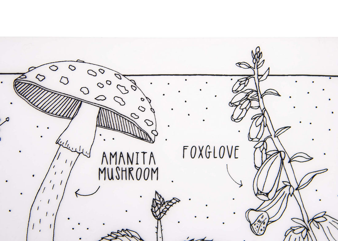 modern-twist 10 x 14 Reusable, Waterproof Coloring Mark-Mat Sheet for Kids, 100% Food-Grade Silicone, Pack of 1, Dangerous Plants