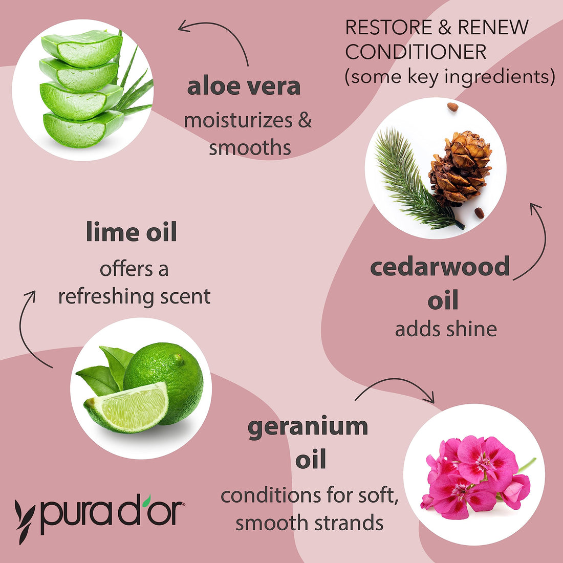 PURA D'OR Restore & Renew Shampoo and Conditioner Set for Strong, Healthy, and Nourished Hair with Organic Aloe Vera, Rosemary, Sea Buckthorn, Cacay, Coconut, Seaberry & Cedarwood