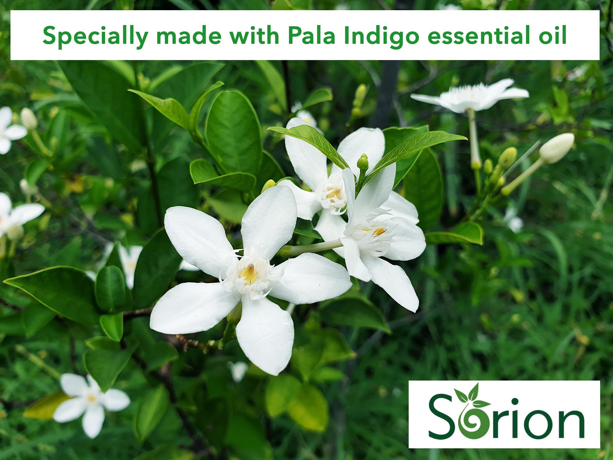 Sorion Cream for Comforting Dry Skin and Ayurveda Skin Care with Coconut Oil, Neem, Turmeric, Pala Indigo and Vitamin E