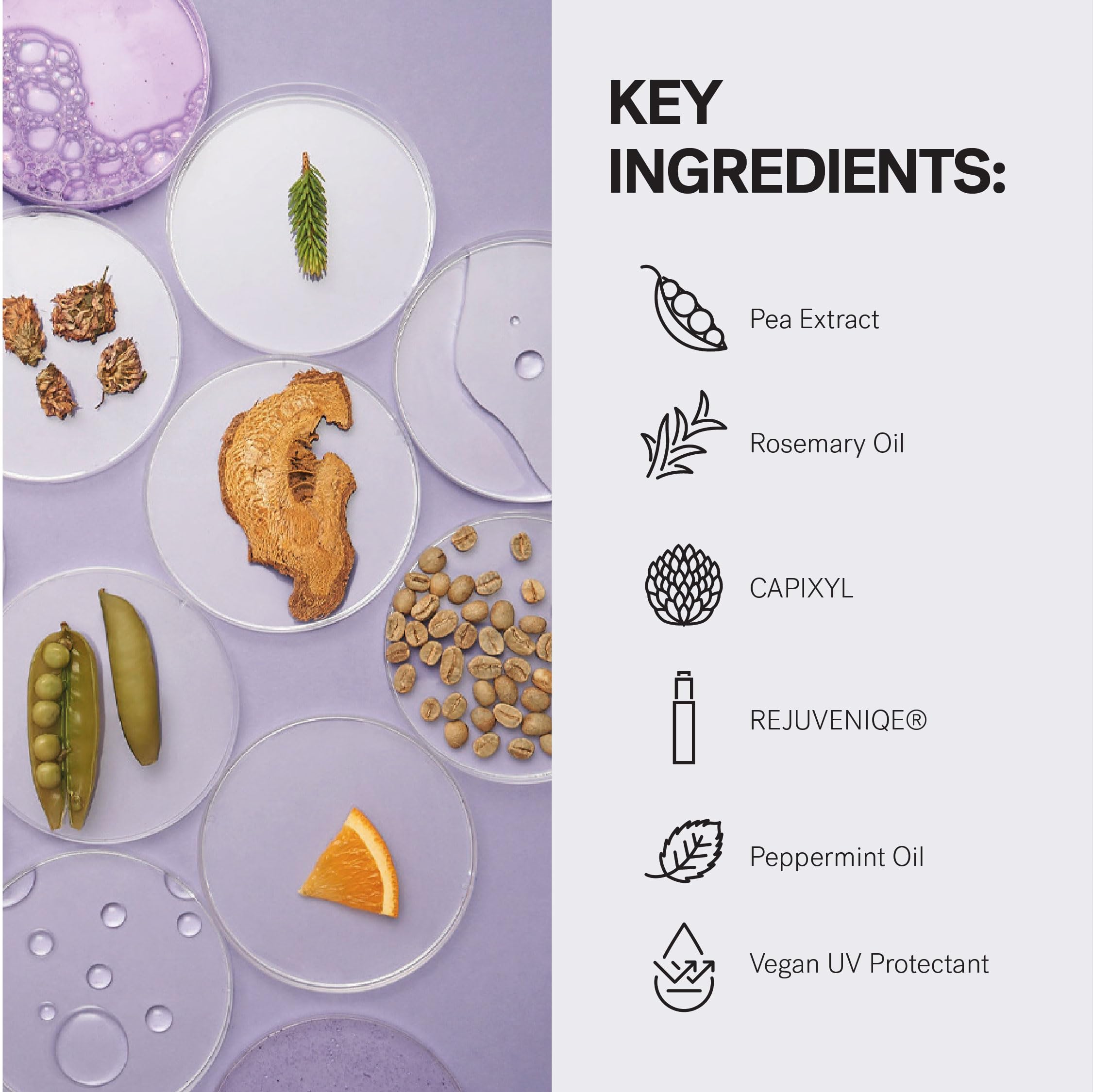 MONAT IR Clinical Thickening Conditioner – Vegan Conditioner For Thinning Hair with Rosemary & Mint – Repairing And Volume Boosting Action For Thicker/Fuller-Looking Hair