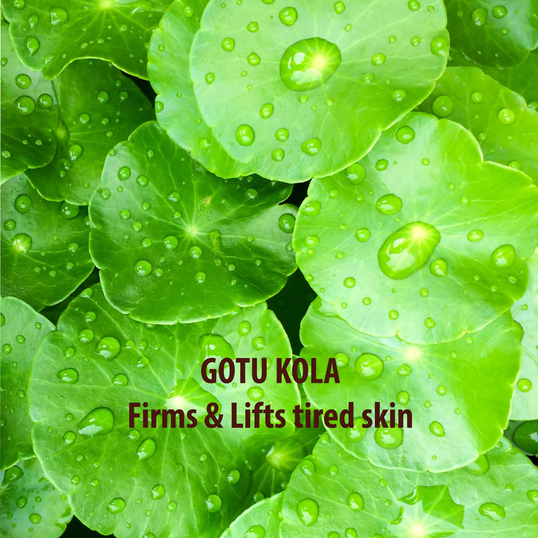 SUNDÃRI Gotu Kola and Walnut Body Exfoliator, 7 Ounce