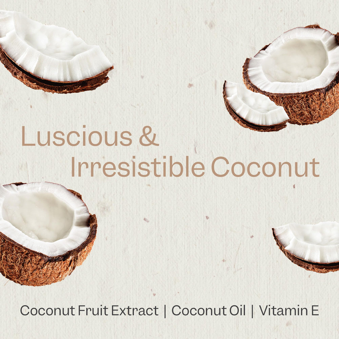 Renpure Plant Based Coconut and Vitamin E Moisturize and Replenish Conditioner - Ideal for Dry, Lifeless Hair - Leaves Hair Silky and Smooth - Paraben Free - Recyclable, Pump Bottle Design - 24 fl oz