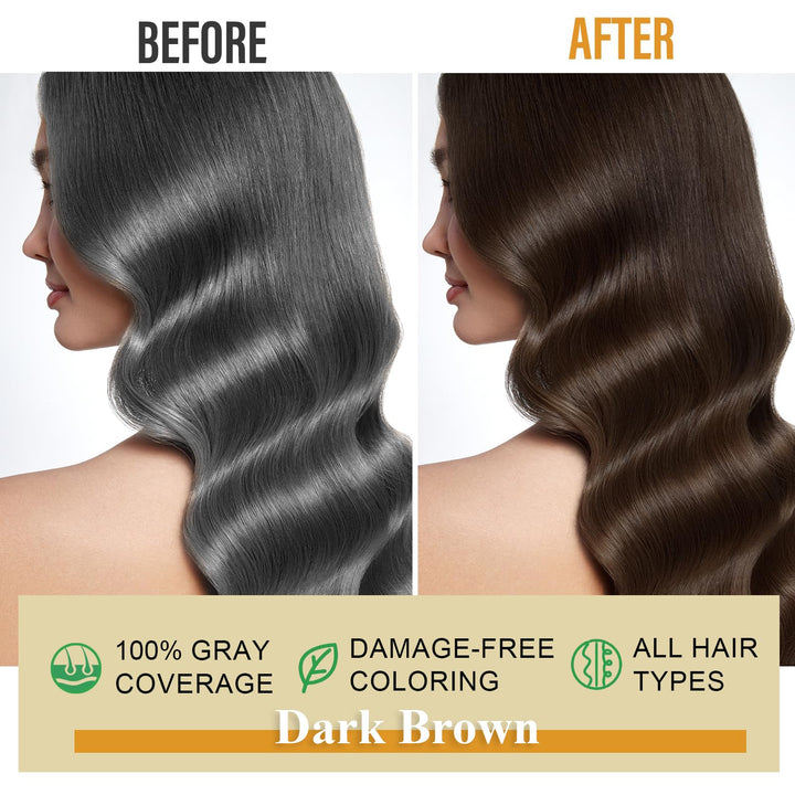 Dark Brown Hair Dye Shampoo for Gray Hair, Natural Color Shampoo Hair Dye for Women & Men, Hair Instant Dye Shampoo Colors Hair in Minutes, Champu Para Canas, 3-in-1 Shampoo for Dyeing Gray, 500 Ml