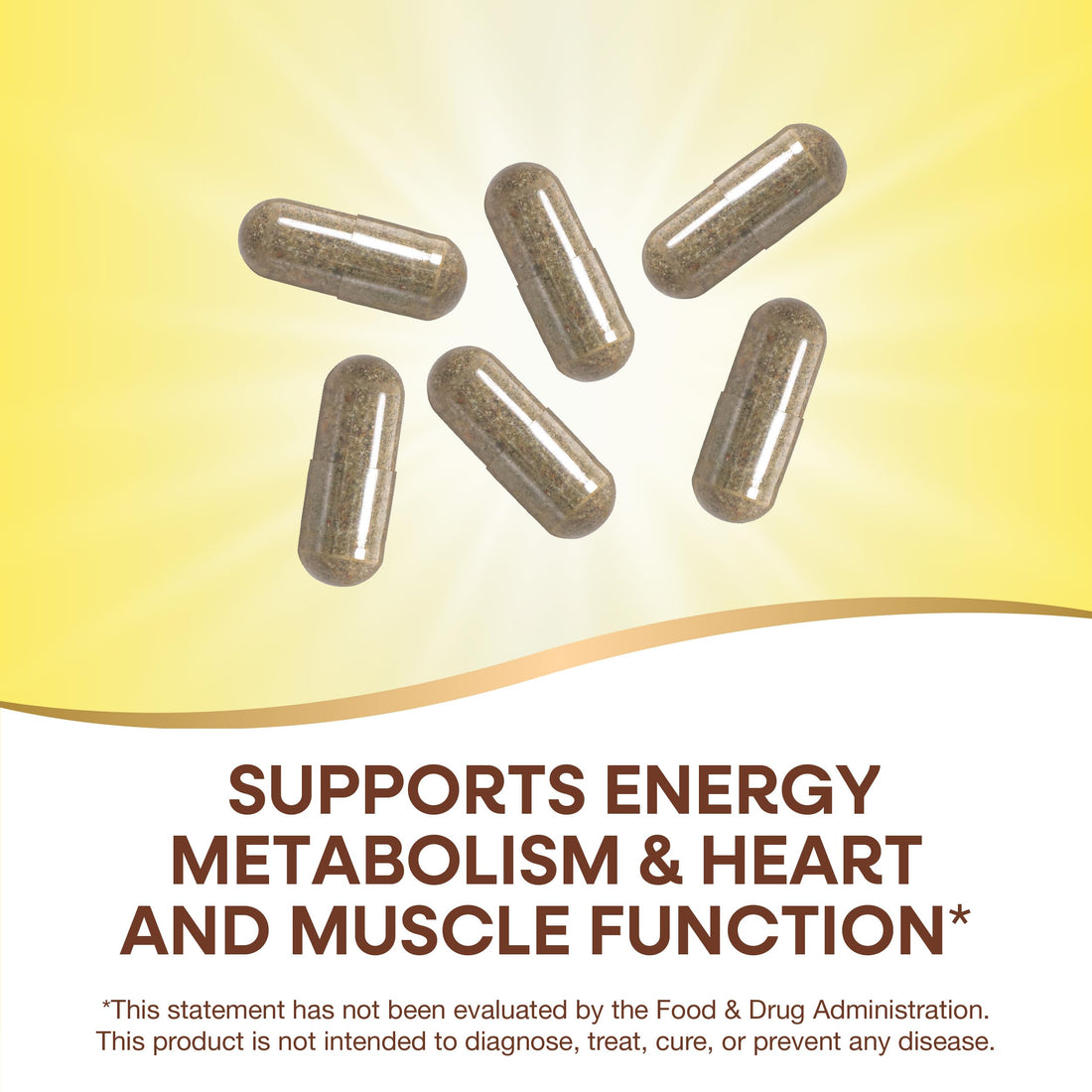 Nature's Way Alive Max6 Potency Adult Complete Multivitamin, Vitamins A,C, E & B-Vitamins Including Methyl B12 & Folate, Supports Energy Metabolism*, No Added Iron, 90 Capsules (Packaging May Vary)