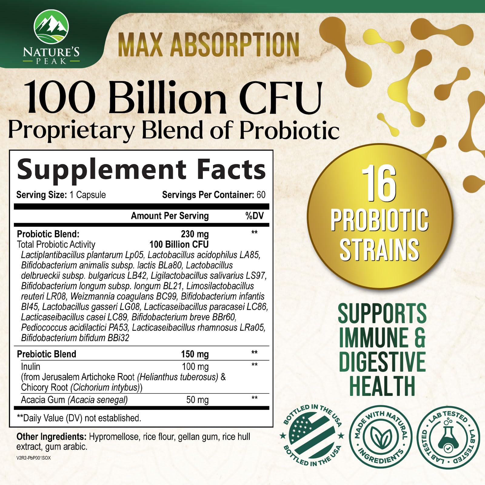 Probiotics for Digestive Health, 120 Billion CFU for Women's Vaginal pH & Daily Immune Support, Nature's Probiotic Supplement for Gut Health & Bloating, Probiotics for Women & Men - 60 Capsules