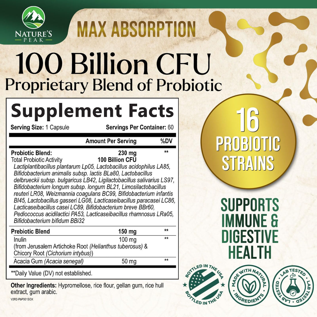Probiotics for Digestive Health, 120 Billion CFU for Women's Vaginal pH & Daily Immune Support, Nature's Probiotic Supplement for Gut Health & Bloating, Probiotics for Women & Men - 60 Capsules