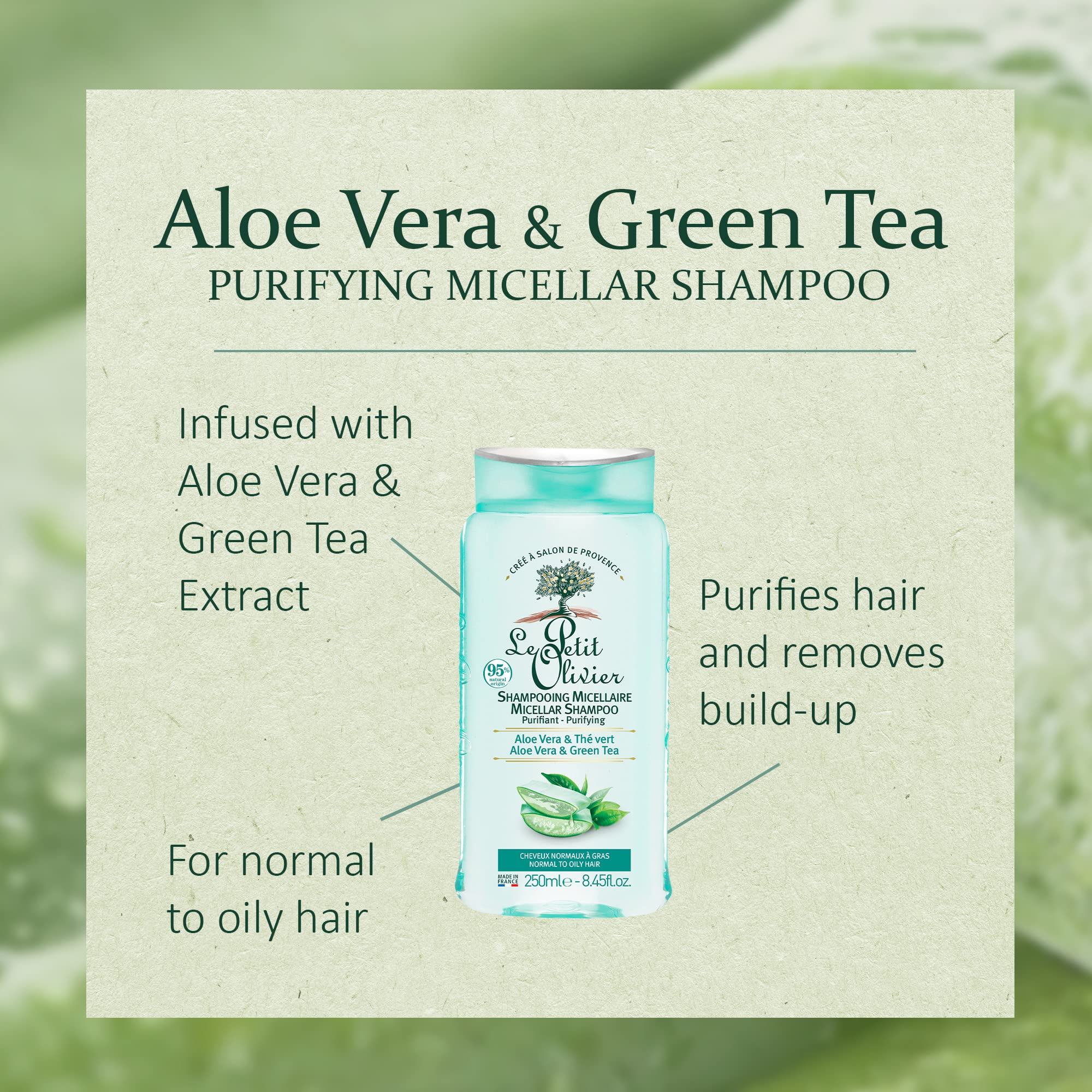 Le Petit Olivier Purifying Micellar Shampoo - Aloe Vera And Green Tea - Cleanses Hair - Reduce Excess Sebum - Suitable For Normal To Oily Hair - Free Of Silicones - 8.45 Oz