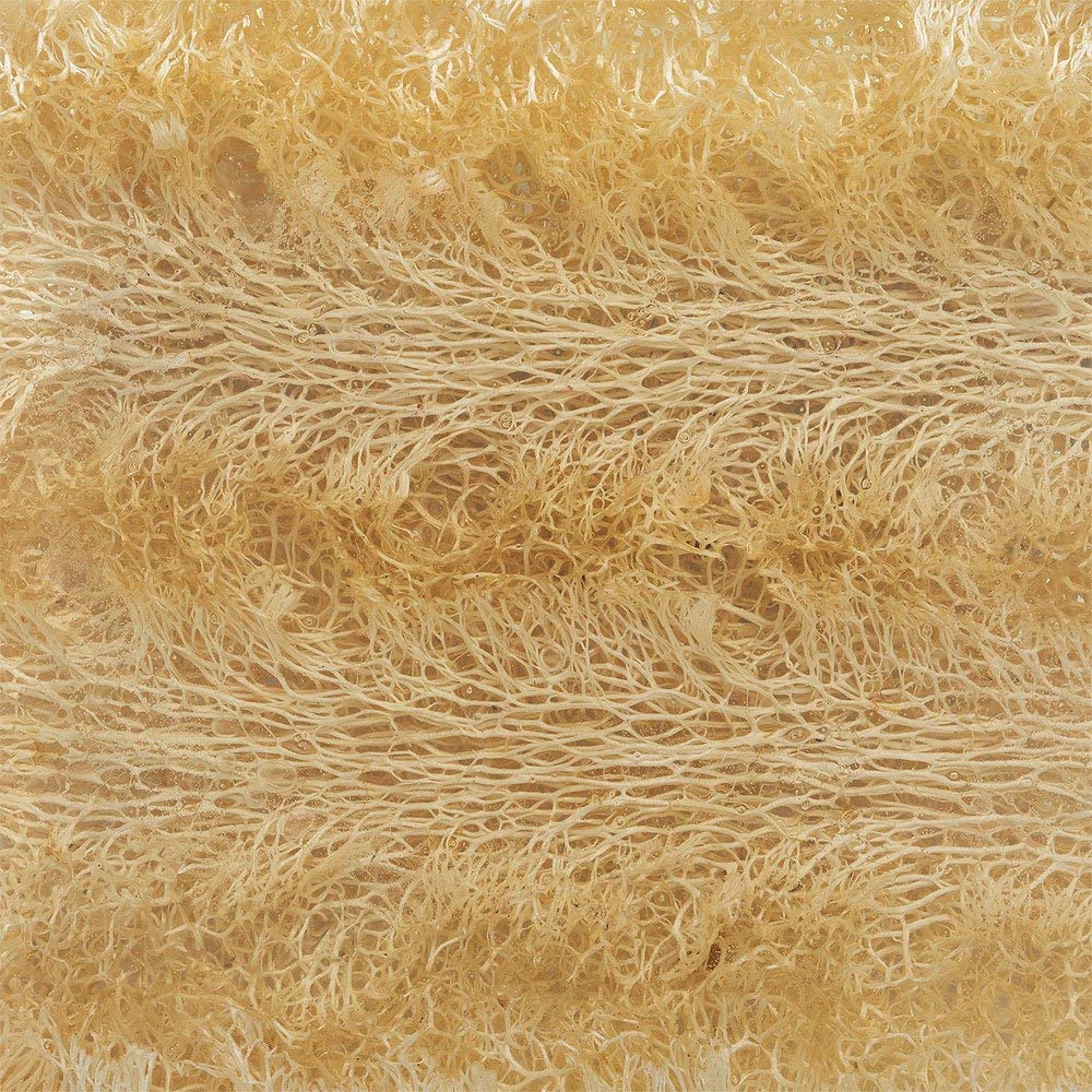 Primal Elements Apricot Island 5.0 Oz. Loofah Glycerin Bar Soap