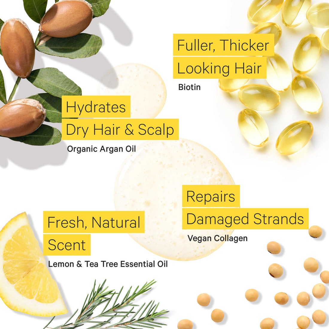 Tree to Tub Volumizing Hair Thickening Shampoo - Biotin, Collagen, Sulfate-Free Argan Oil Shampoo with Wild Soapberries and Sicilian Lemon Tea Tree Oil for Women & Men