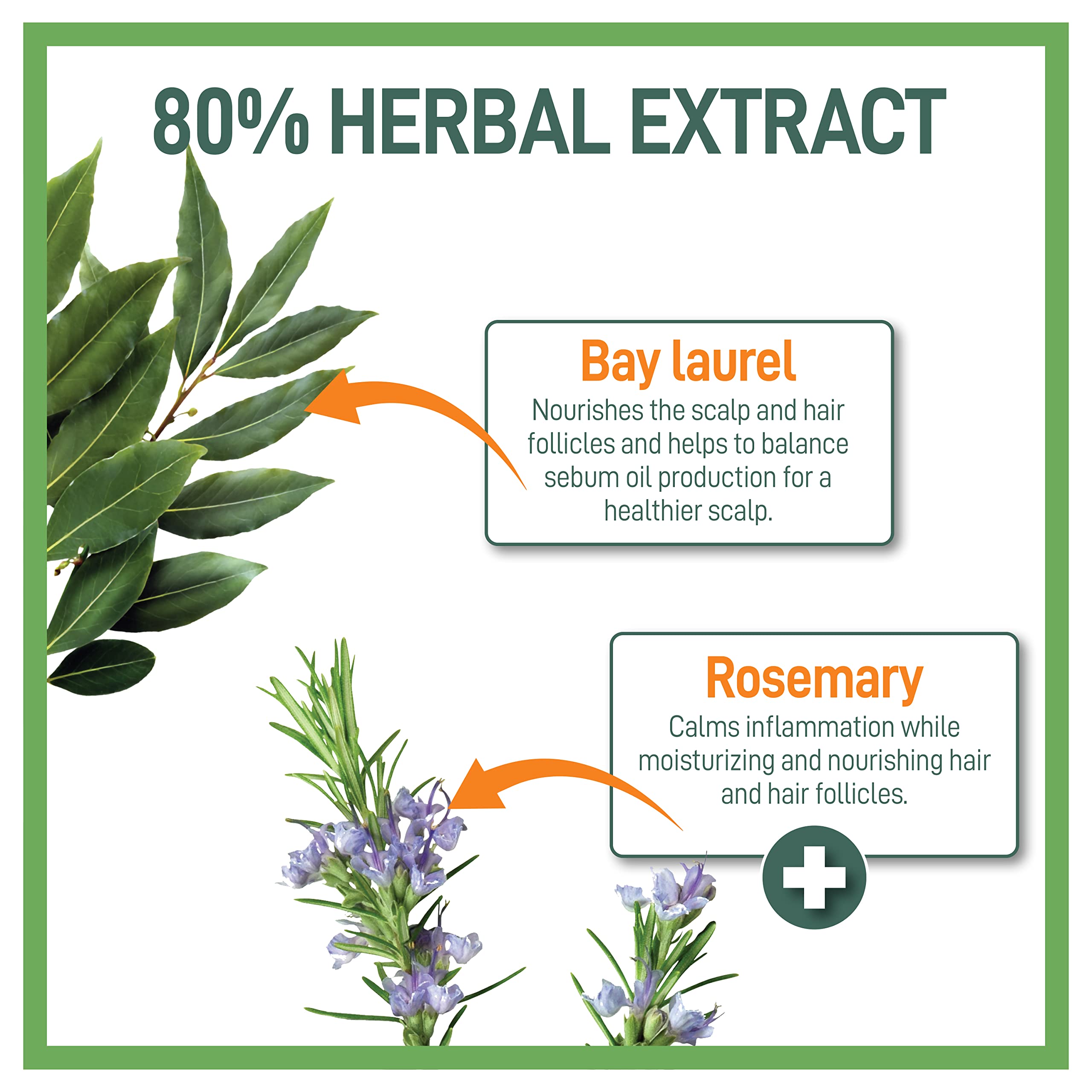 Moraz Herbal Shampoo for Men – Bay Laurel & Rosemary Shampoo for Thinning Hair, SLS & Paraben Free – Nourishing Hair Thickening Shampoo - Sebum Balancing, Volumizing Shampoo for Healthy Hair, 17 Fl Oz