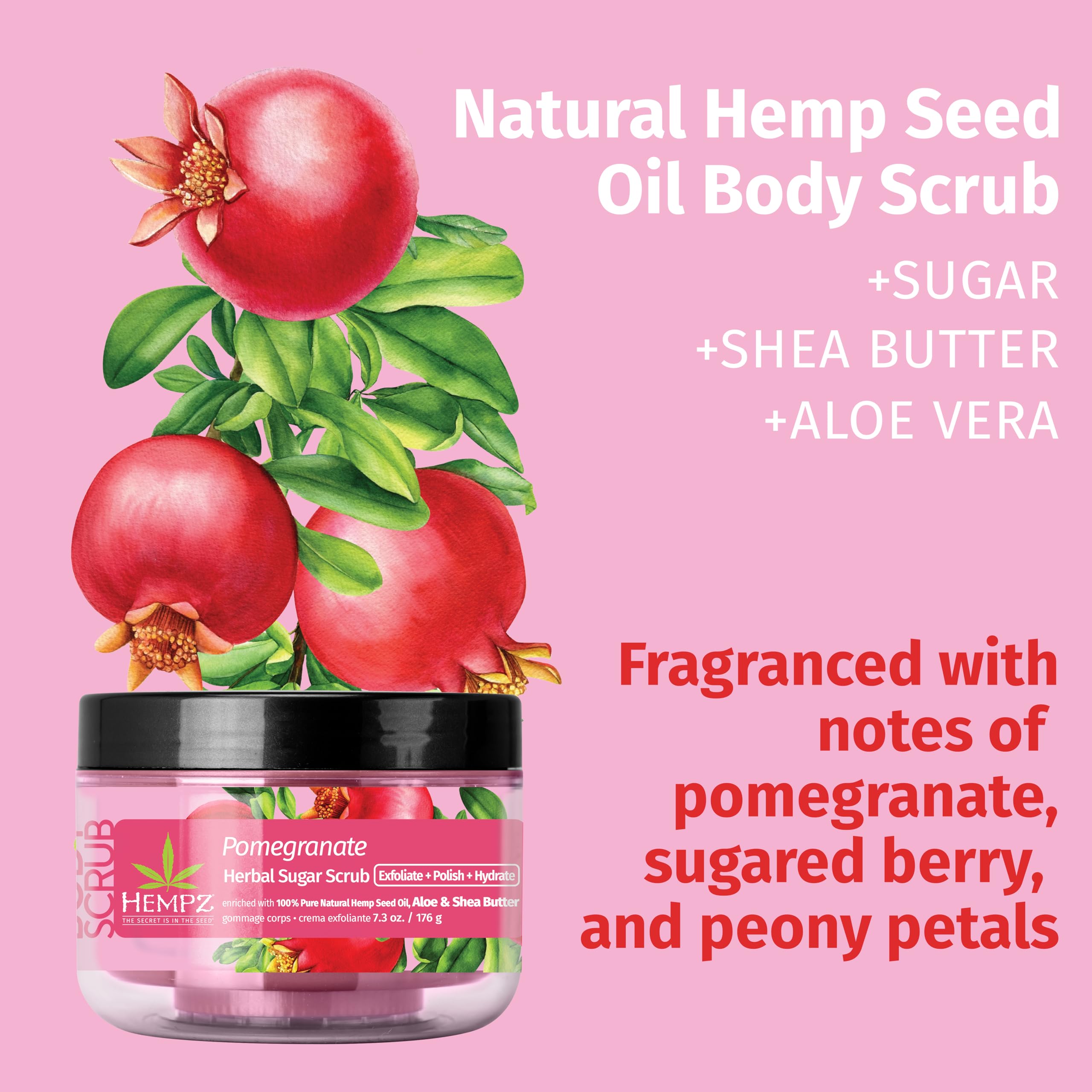 HEMPZ Sugar Body Scrub - Pomegranate - All Natural Exfoliating Shea Butter, Sugar, and Salt - For Women, Men, and Teens 7.3 - fl oz
