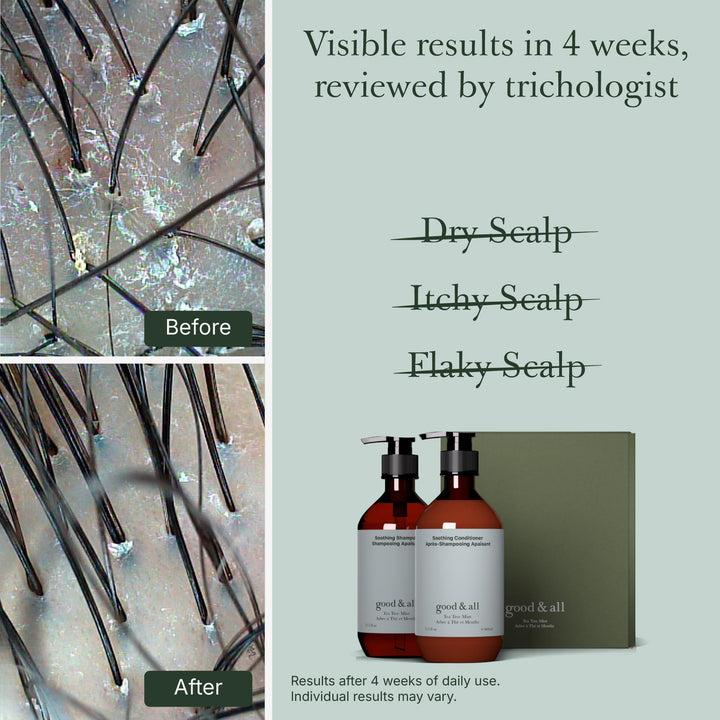 Good&All Tea Tree Shampoo and Conditioner Set for Dry Itchy Scalp with Peppermint - Sodium Lauryl Sulfate/Sulphate, Silicone, Paraben, Fragrance Free - 13.5 fl oz