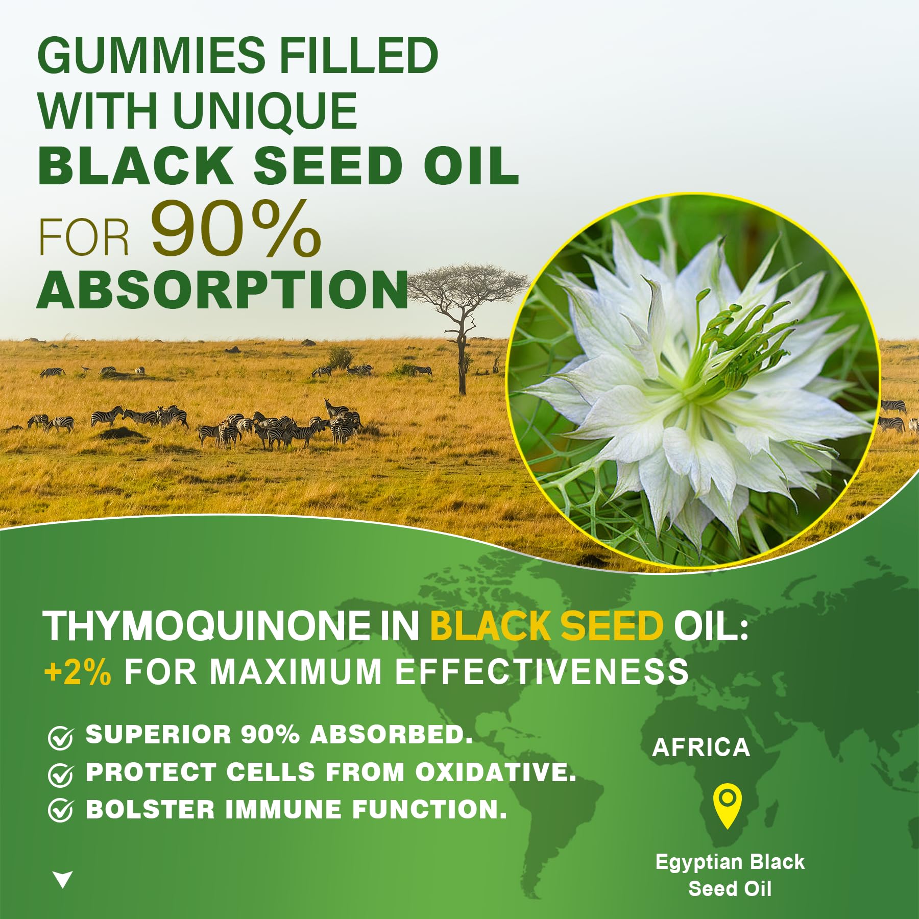Black Seed Oil Gummies, Chlorophyll & Sea Moss Supplement 500mg, Biotin 500mcg with Hydrolyzed Collagen for Skin, Hair & Nails, Vit E, C, Zinc for Overall Health, Organic Cold Pressed, High Absorption