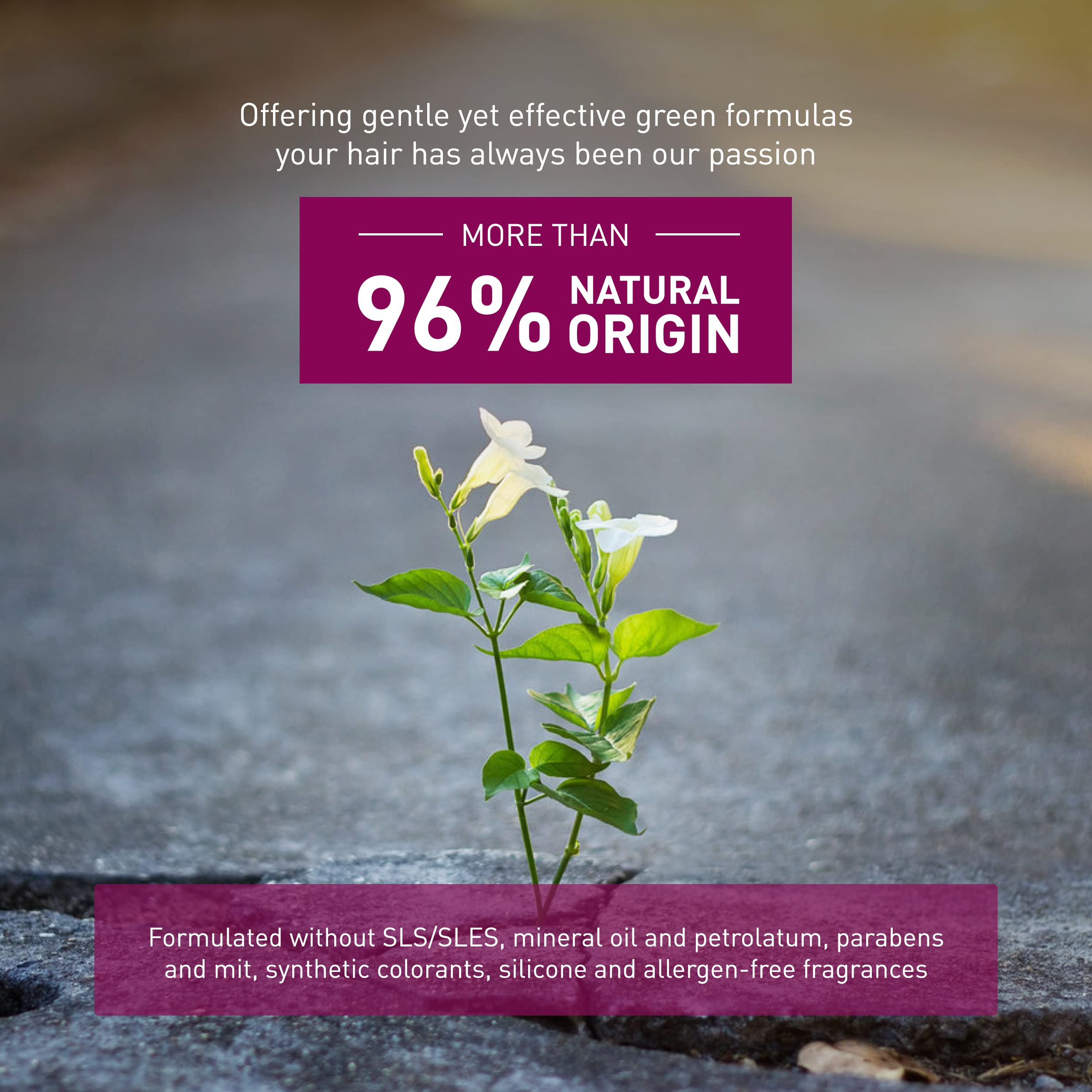 Insight Clean Beauty Volume Up Shampoo for Softer Hair Organic Ginseng Extract, Vegan, 13.5 fl oz