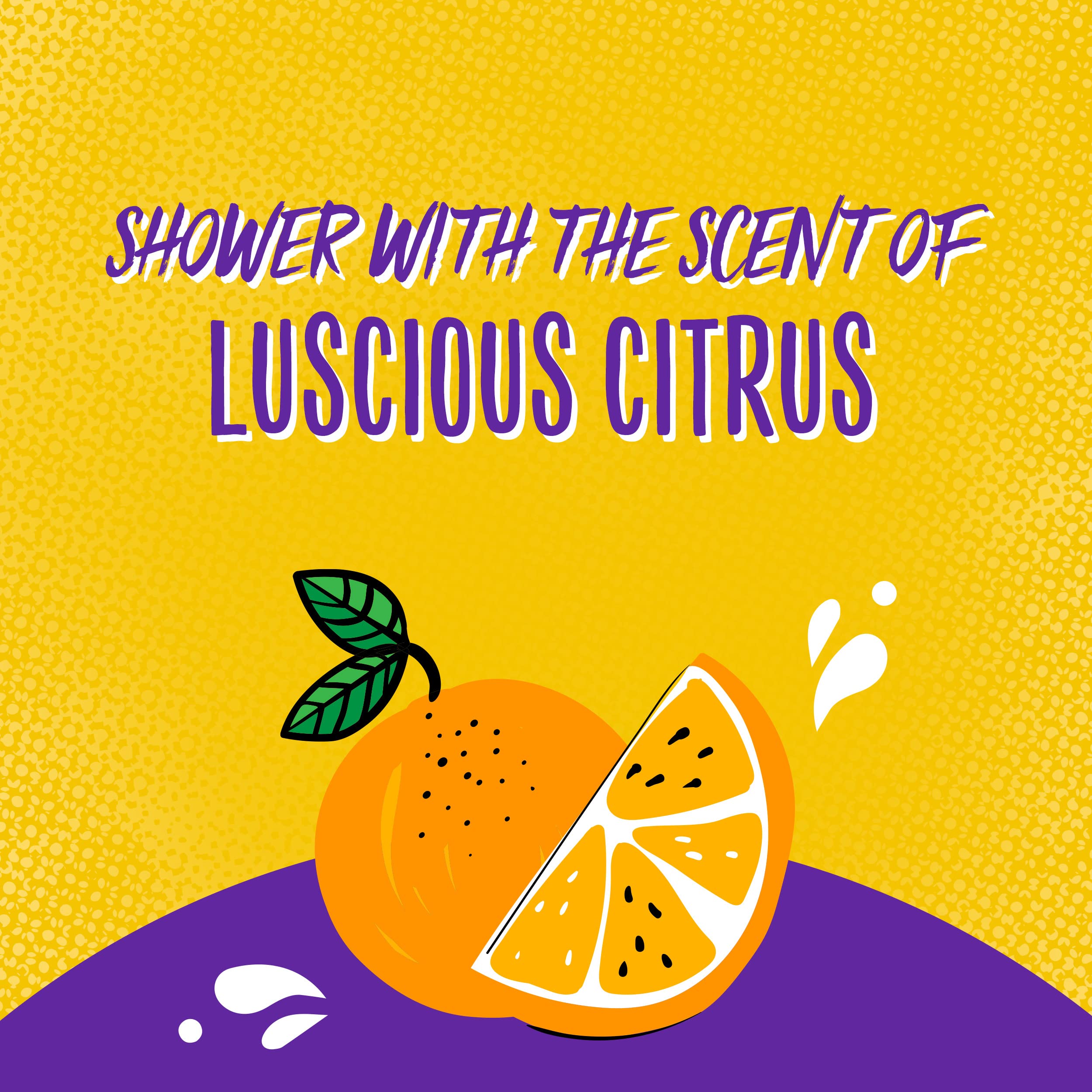 Aussie Shampoo Miracle Curls, 12.1 Ounce