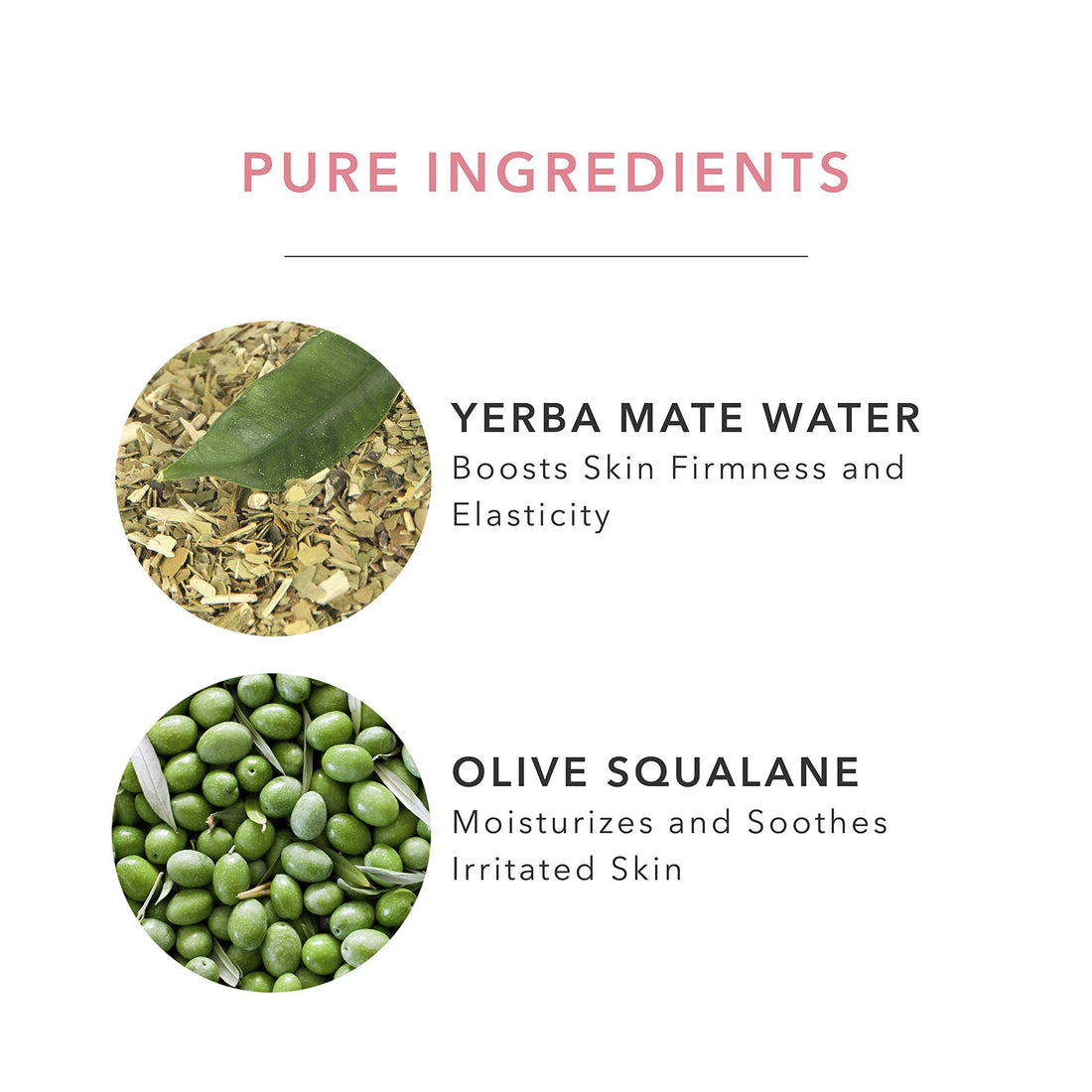 100% PURE Green Tea EGCG Concentrate Cream, Anti-Aging Face Moisturizer, Lightweight, Daily Face Cream (1.4 Fl Oz)