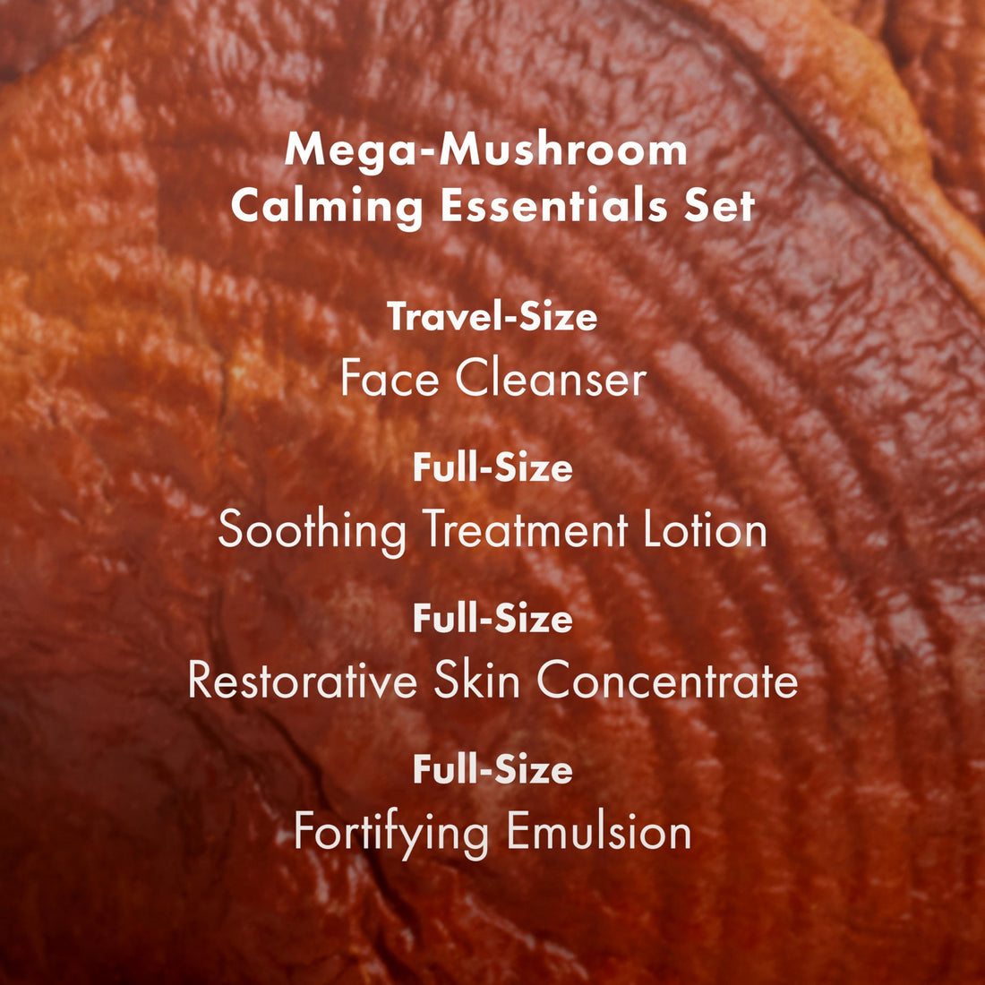 Origins 4-Piece Mega-Mushroom Skin Repair Skin Care Set | Includes Cleanser, Treatment Lotion, Restorative Concentrate & Moisturizer | Great for Sensitive Skin | With Hyaluronic Acid & Reishi Mushroom