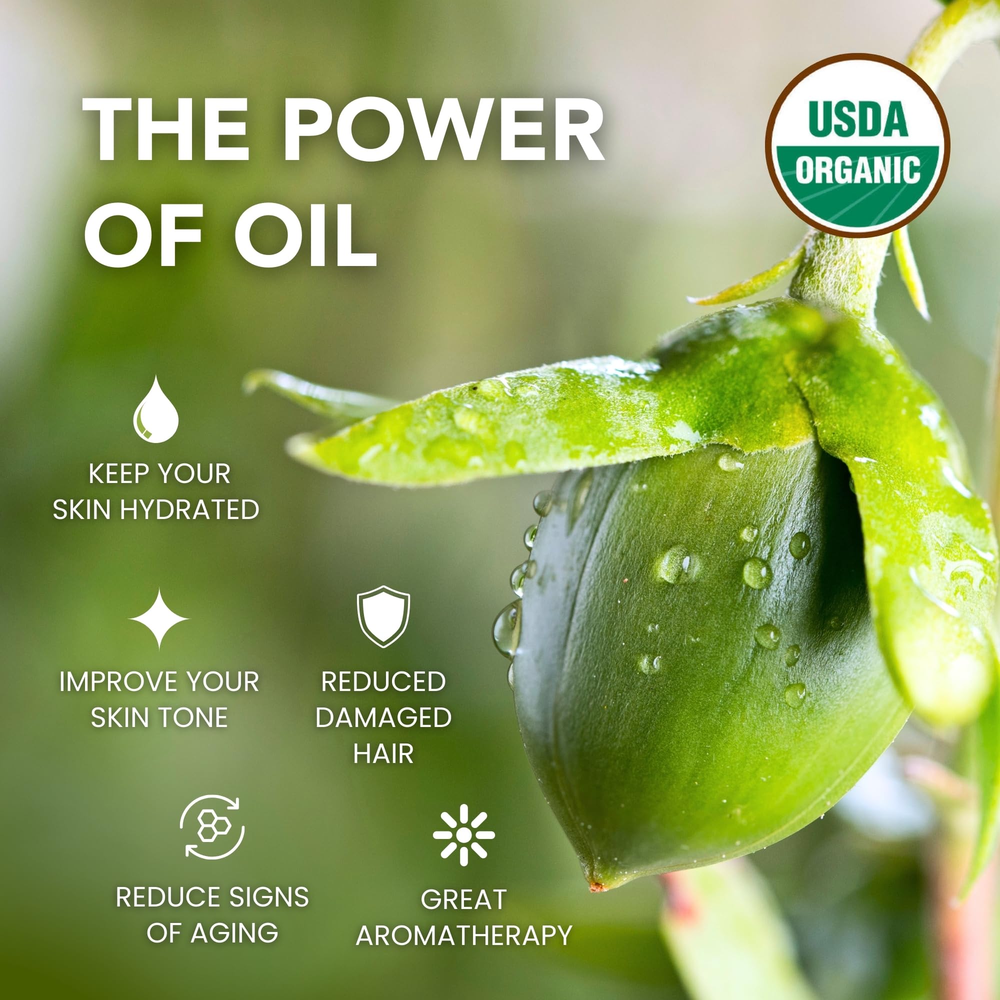 BodyJ4You USDA Organic Jojoba Oil - 100% Pure Natural Face Body Hair Anti-Aging Oil - Premium Grade Oil Cold-Pressed Hexane-Free - Base Carrier Oil - 4.22 Fl Oz