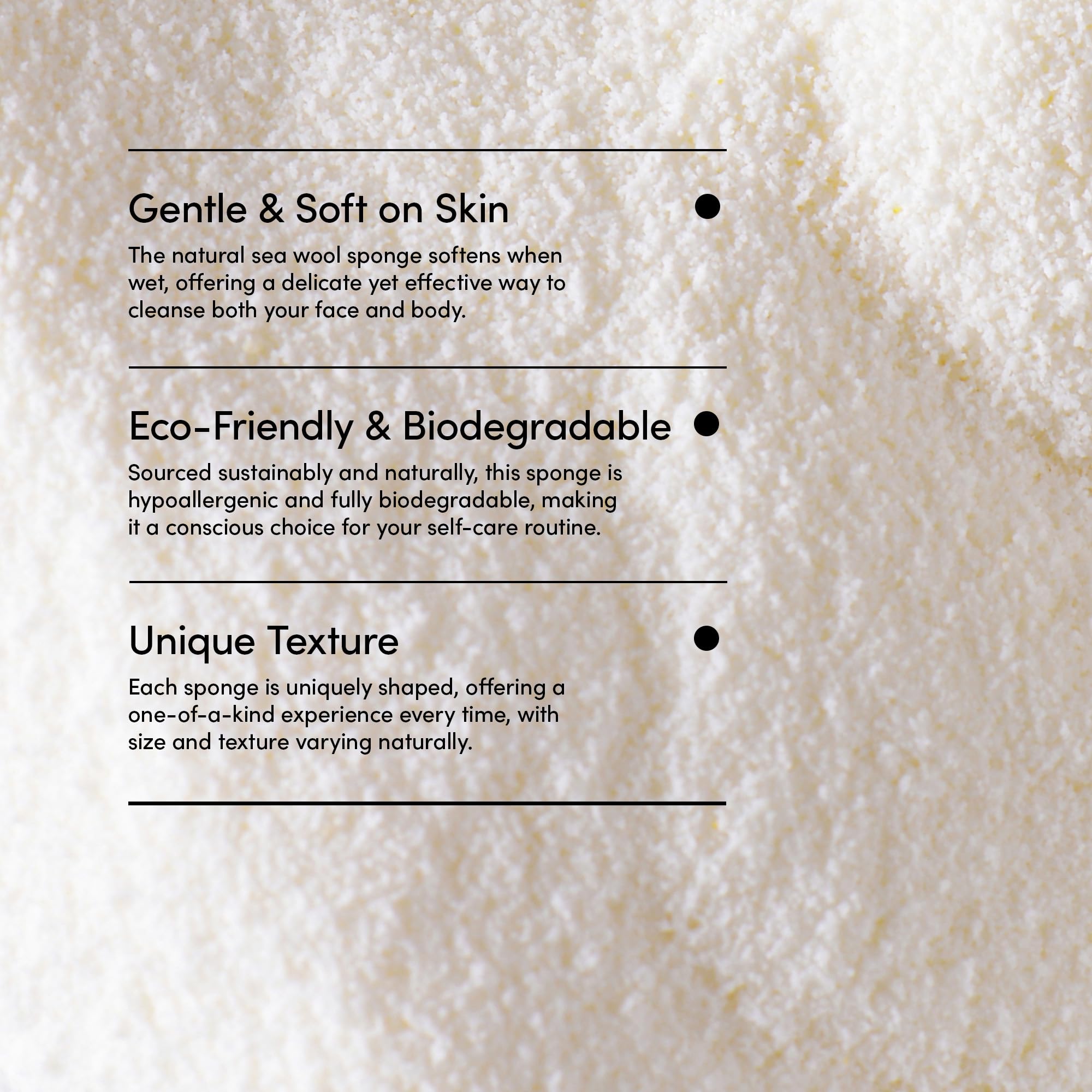 LATHER - Natural Sea Wool Sponge, 5-6 - Organic Exfoliating Body Scrubber - Soft, Gentle Cleansing - Hypoallergenic - All Skin Types - Florida Natural Loofah Sponge - Cruelty Free - Beauty & Skincare