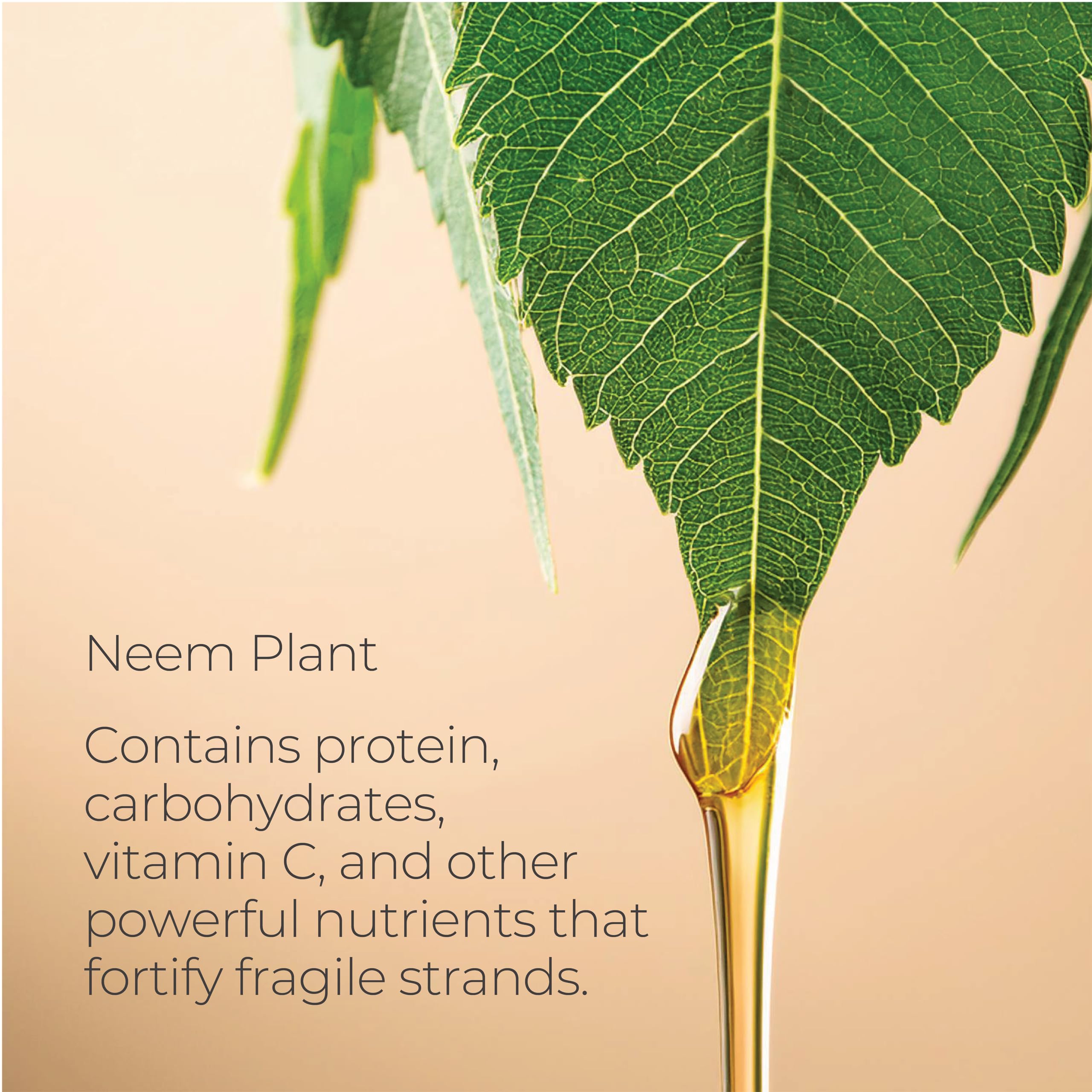 L'ANZA Healing Strength Neem Plant Silk Hair Serum, Neem Oil Anti Frizz Damaged Hair Treatment, Nourishes, Strengthens, Boosts Shine, Repairs and Prevents Breakage From Split Ends (3.4 Fl Oz)