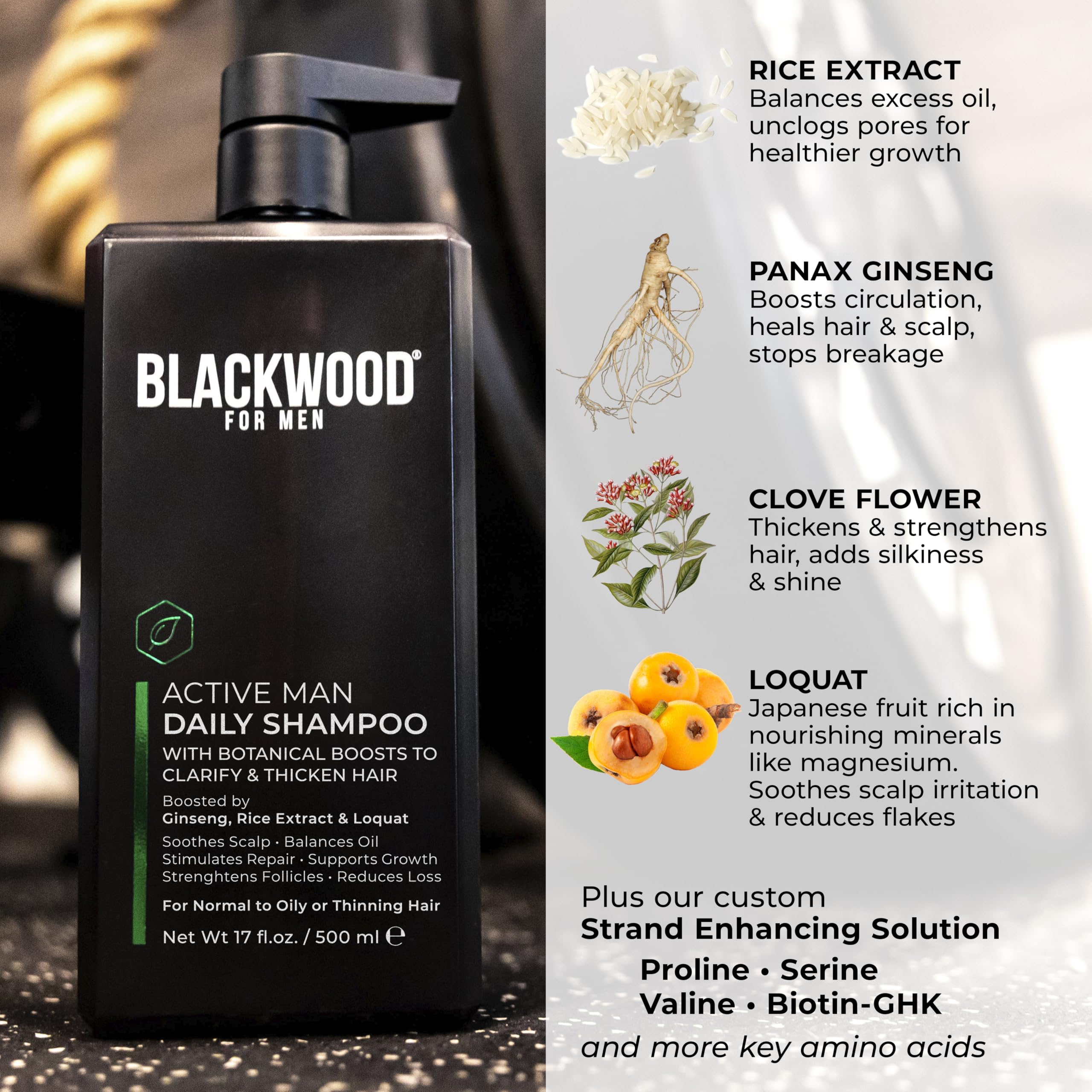BLACKWOOD FOR MEN Active Man Daily Shampoo - Thickening & Clarifying Shampoo for Normal to Oily Hair or Scalp - Fights Hair Loss - Natural Vegan Formula - Sulfate Free with Ginseng & Aloe Vera (17oz)