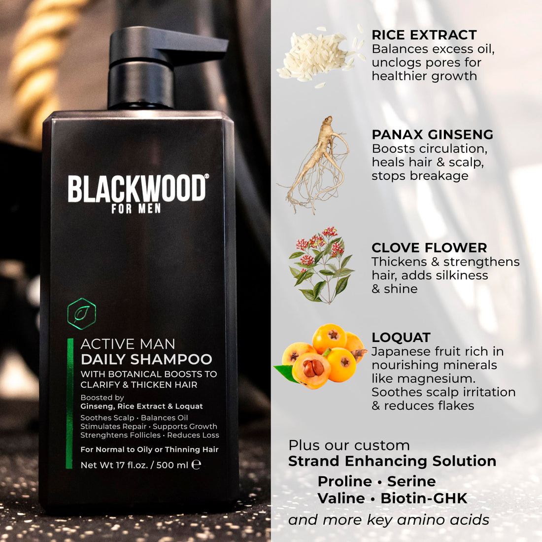 BLACKWOOD FOR MEN Active Man Daily Shampoo - Thickening & Clarifying Shampoo for Normal to Oily Hair or Scalp - Fights Hair Loss - Natural Vegan Formula - Sulfate Free with Ginseng & Aloe Vera (17oz)