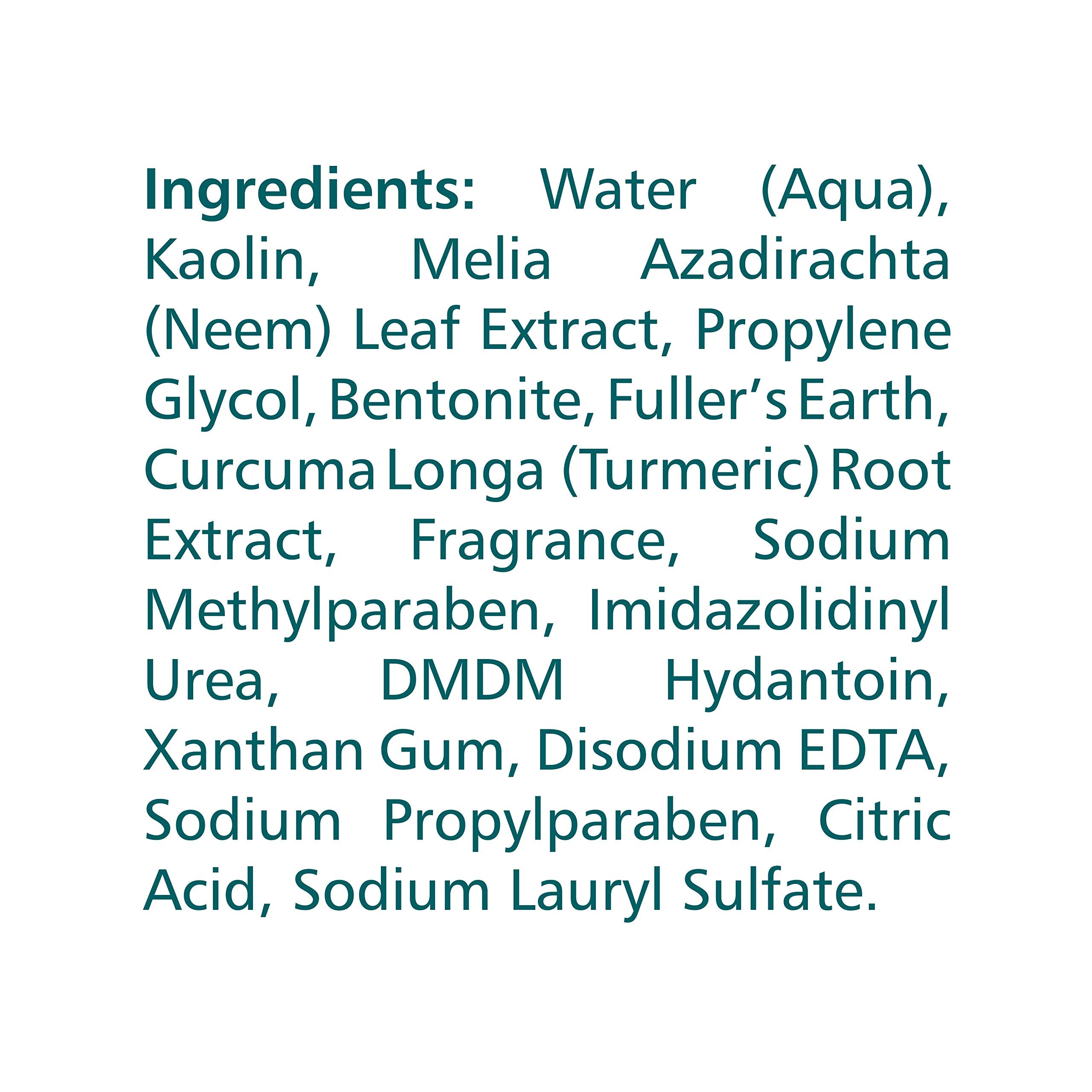 Himalaya Purifying Neem Mask with Turmeric, Normal to Oily Skin 5.07oz/150ml