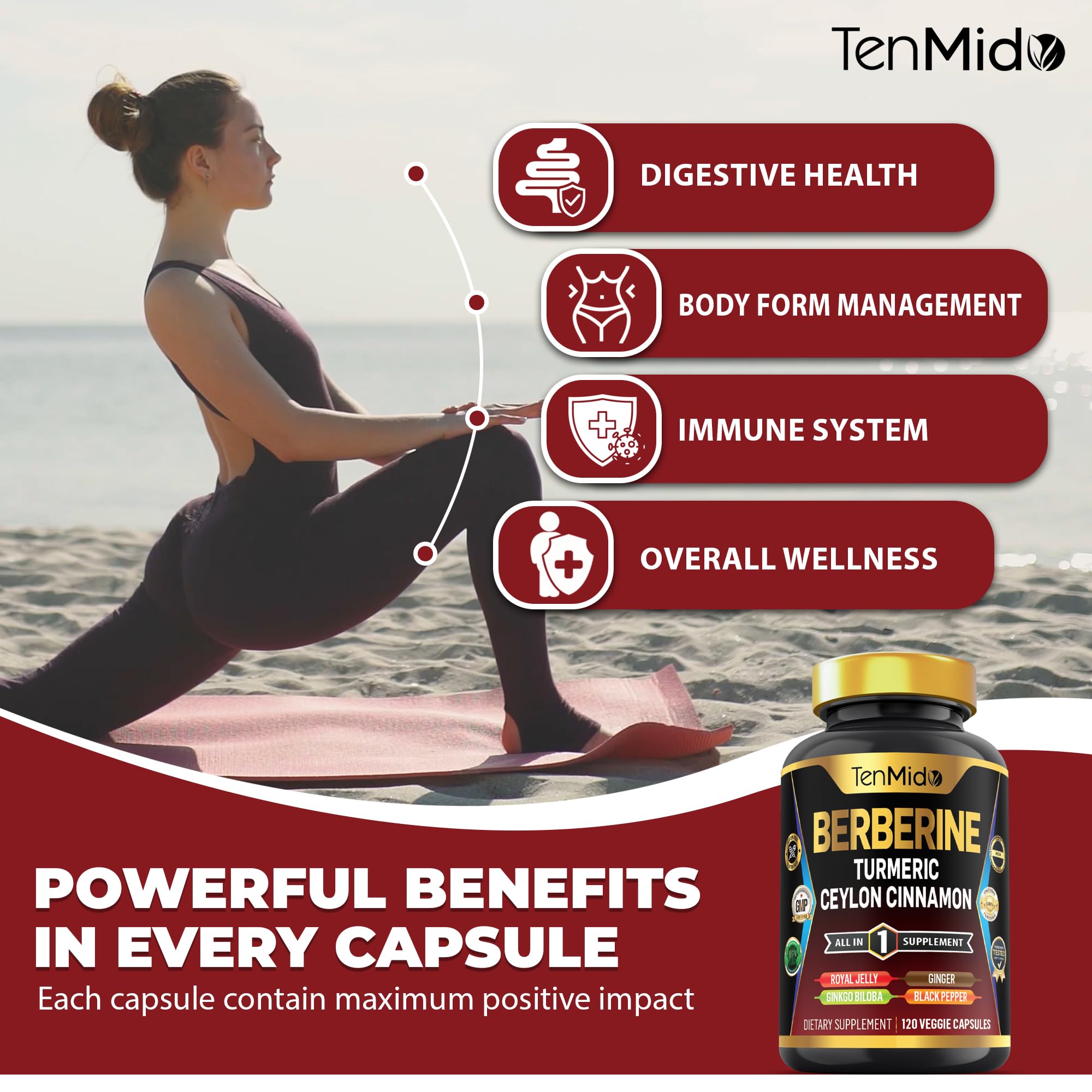 Tenmido Berberine Supplement - 7in1 Formula - Combine with Turmeric, Royal Jelly, Ceylon Cinnamon, Ginkgo Biloba, Ginger & Black Pepper - Digestive Health, Immune Support - 120 Capsules