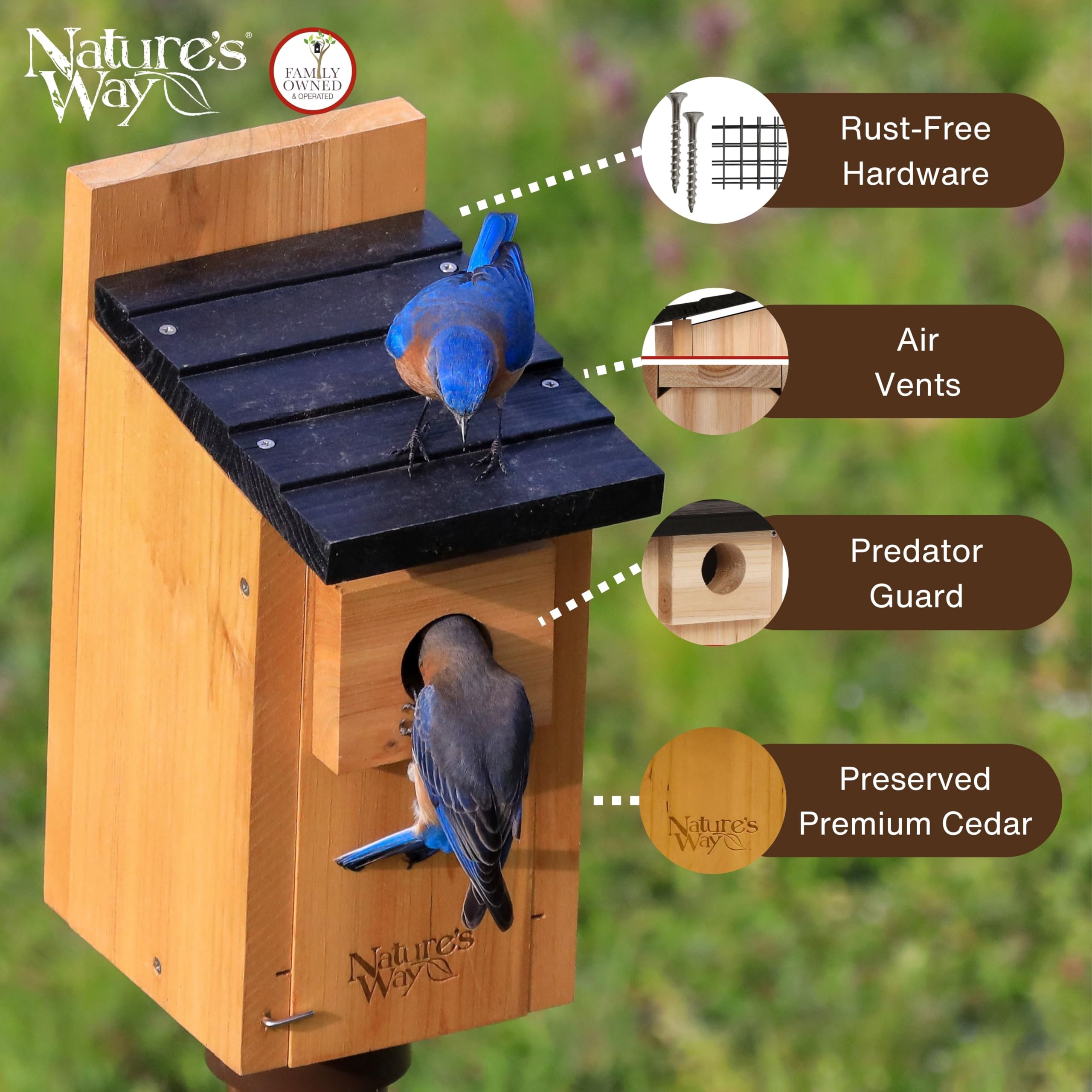 Nature's Way Bird Products CWH3 Cedar Bluebird Box House