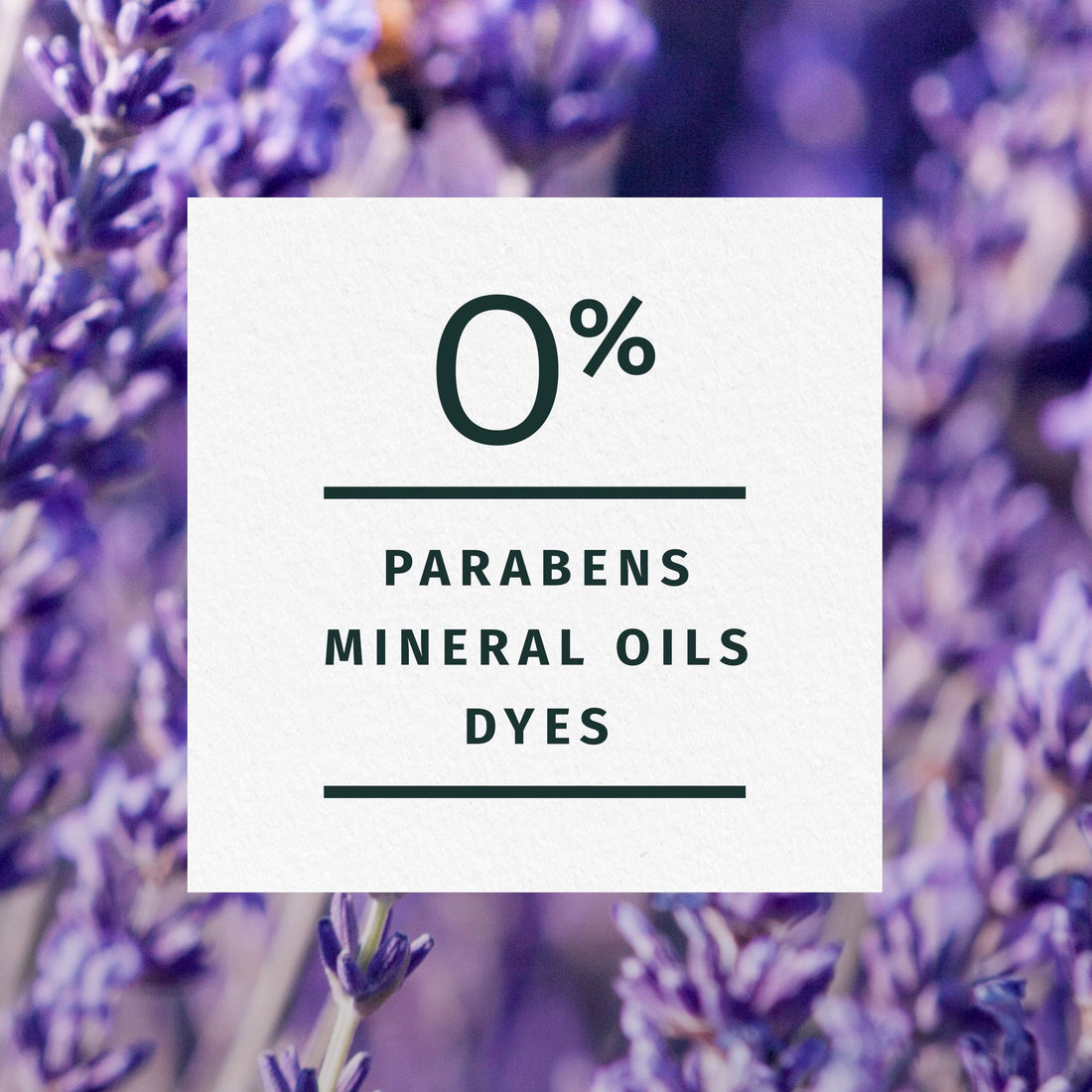 Jojoba Oil & Lavender Curls Conditioner