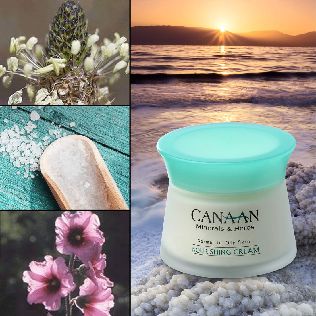 CANAAN Minerals & Herbs Dead Sea Nourishing Facial Cream - Normal to Dry Skin - 50ml