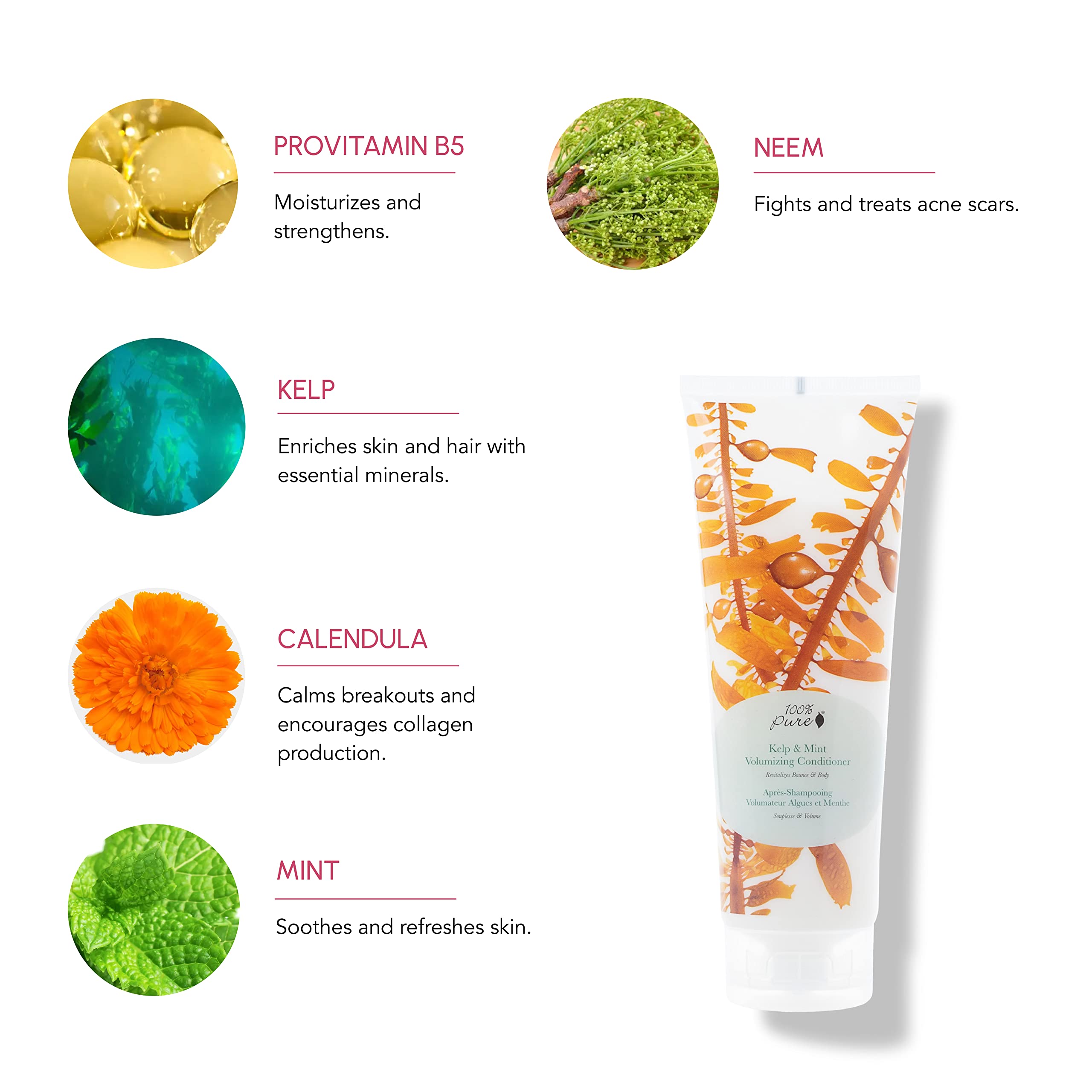 100% PURE Kelp & Mint Volumizing Conditioner (8 Fl Oz), Sulfate Free Conditioner, Nourishing, For Hair Thickening, Organic Conditioner for Hair Growth