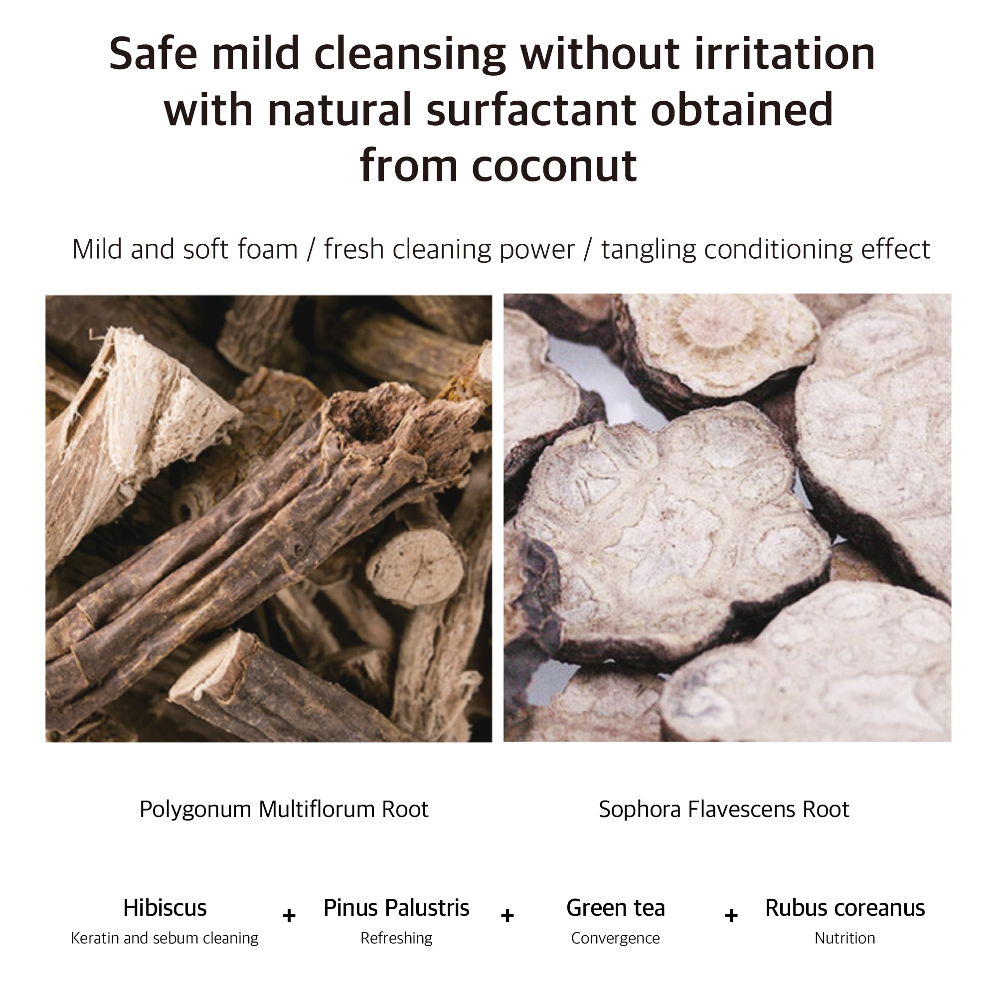 APOTHE Sebum Control Shampoo 300ml (10.1fl.oz.)