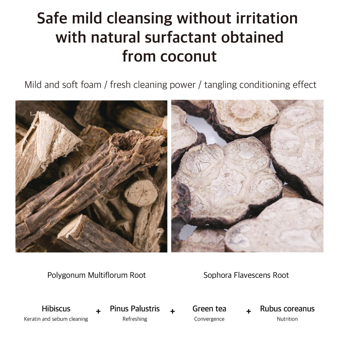 APOTHE Sebum Control Shampoo 300ml (10.1fl.oz.)