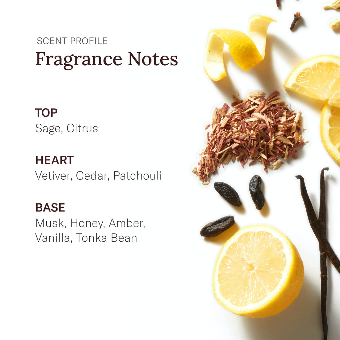 Stetson By Coty For Men. Aftershave 3.5 Oz