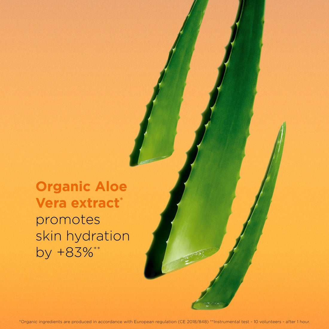 Clarins Body Sunscreen Lotion Spray | Broad Spectrum SPF 50+ | UVA/UVB Protection | Lightweight and No White Cast | Enriched with Antioxidants | All Skin Types, including Sensitive Skin | 5 Ounces