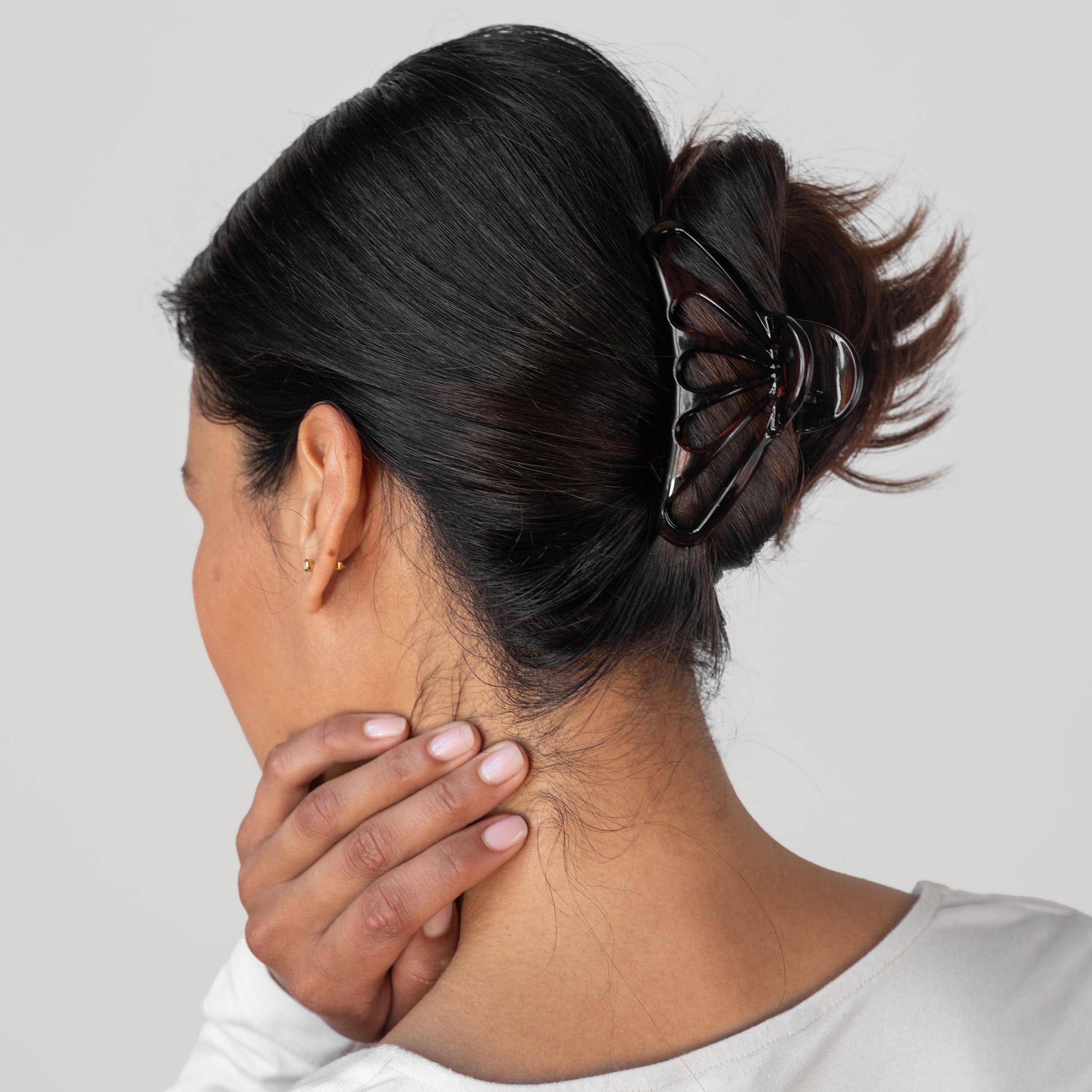 France Luxe Large Nautilus Jaw Tortoise