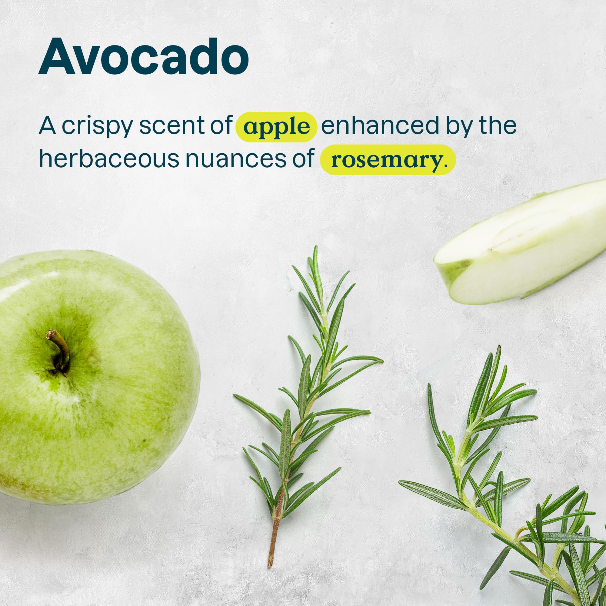 ATTITUDE Sensitive Skin, Hypoallergenic Nourishing Body Wash, Avocado Oil, 16 Fluid Ounce