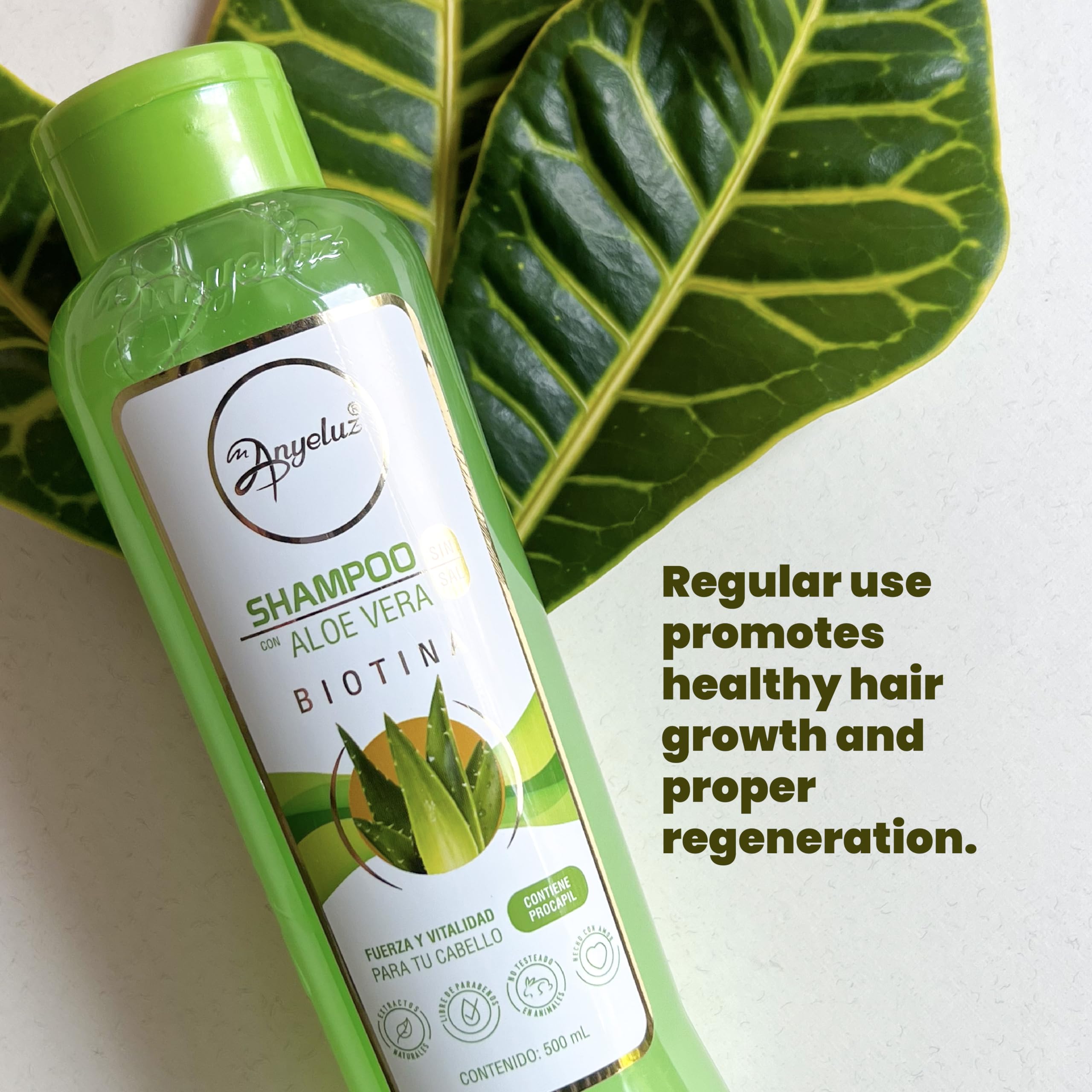 ANYELUZ Aloe Vera Shampoo, Deep Cleansing for Greasy Hair and Scalp Cleanser, Provides Strength and Vitality to your Hair, Salt and Paraben Free