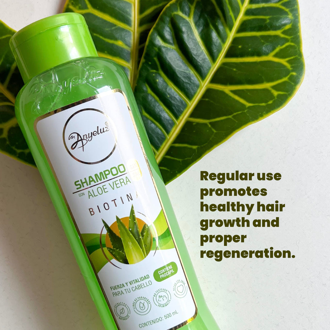 ANYELUZ Aloe Vera Shampoo, Deep Cleansing for Greasy Hair and Scalp Cleanser, Provides Strength and Vitality to your Hair, Salt and Paraben Free