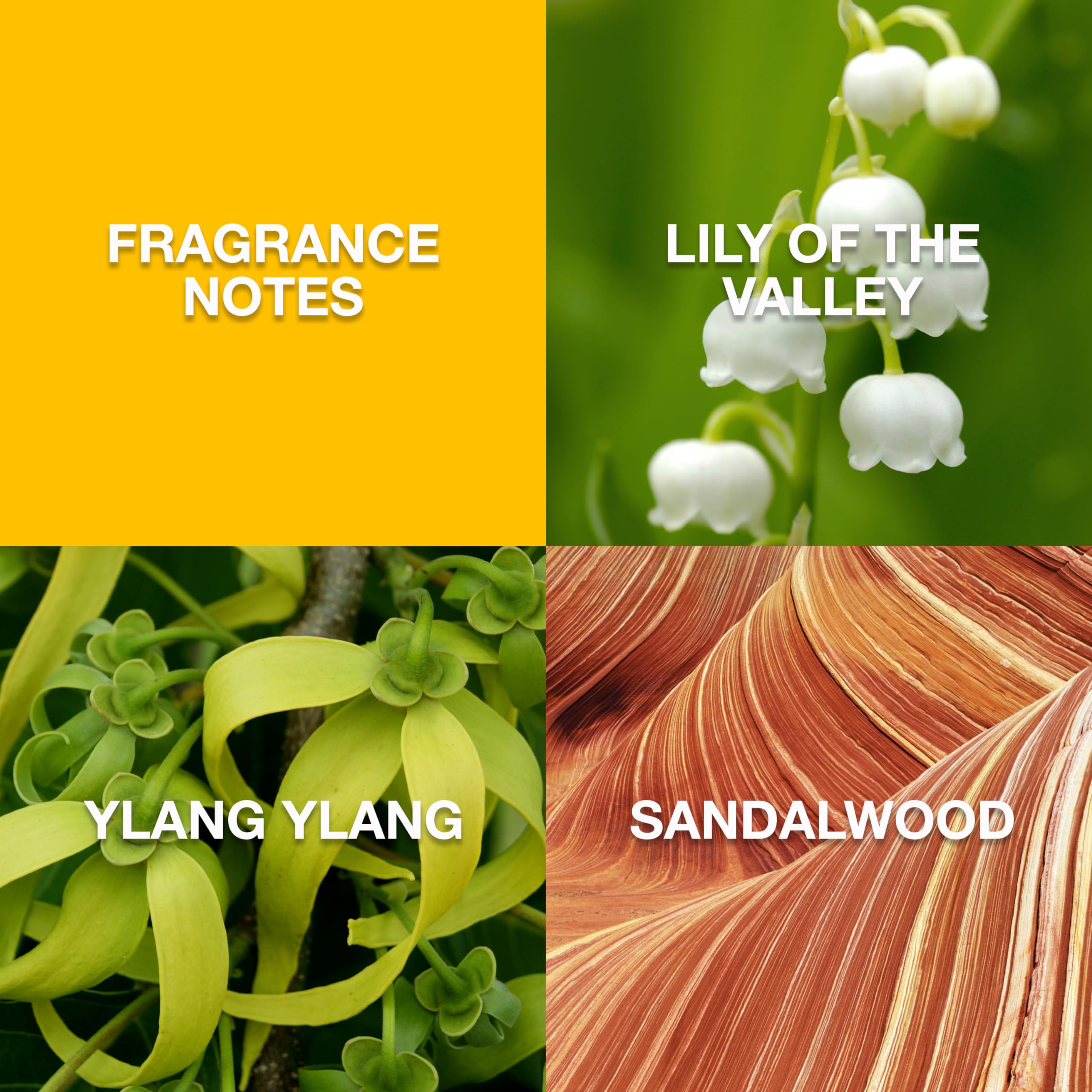 Claiborne by LIZ CLAIBORNE for Women, Eau De Toilette Spray, 3.4-Ounce (125234)