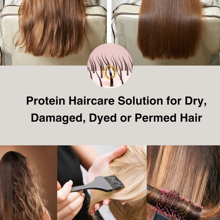 Moist Diane Perfect Beauty Extra Damage Repair Shampoo from Japan