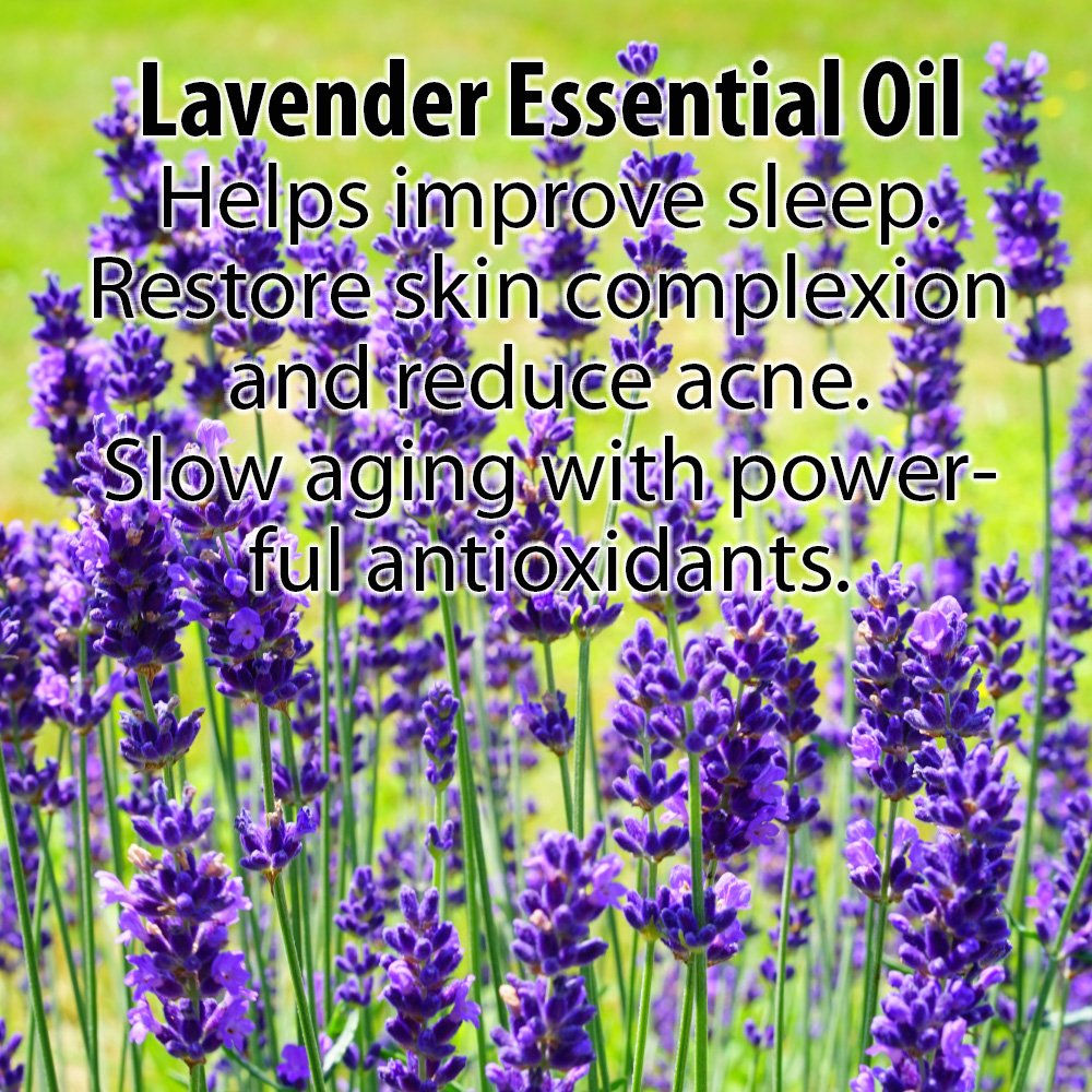 GLIMMER GODDESS Organic Vegan Whipped Coconut Oil & Vitamin E Body Butter With Lavender Lemon, Moisturizing, Anti-aging, Skin Repairing, 8 oz.