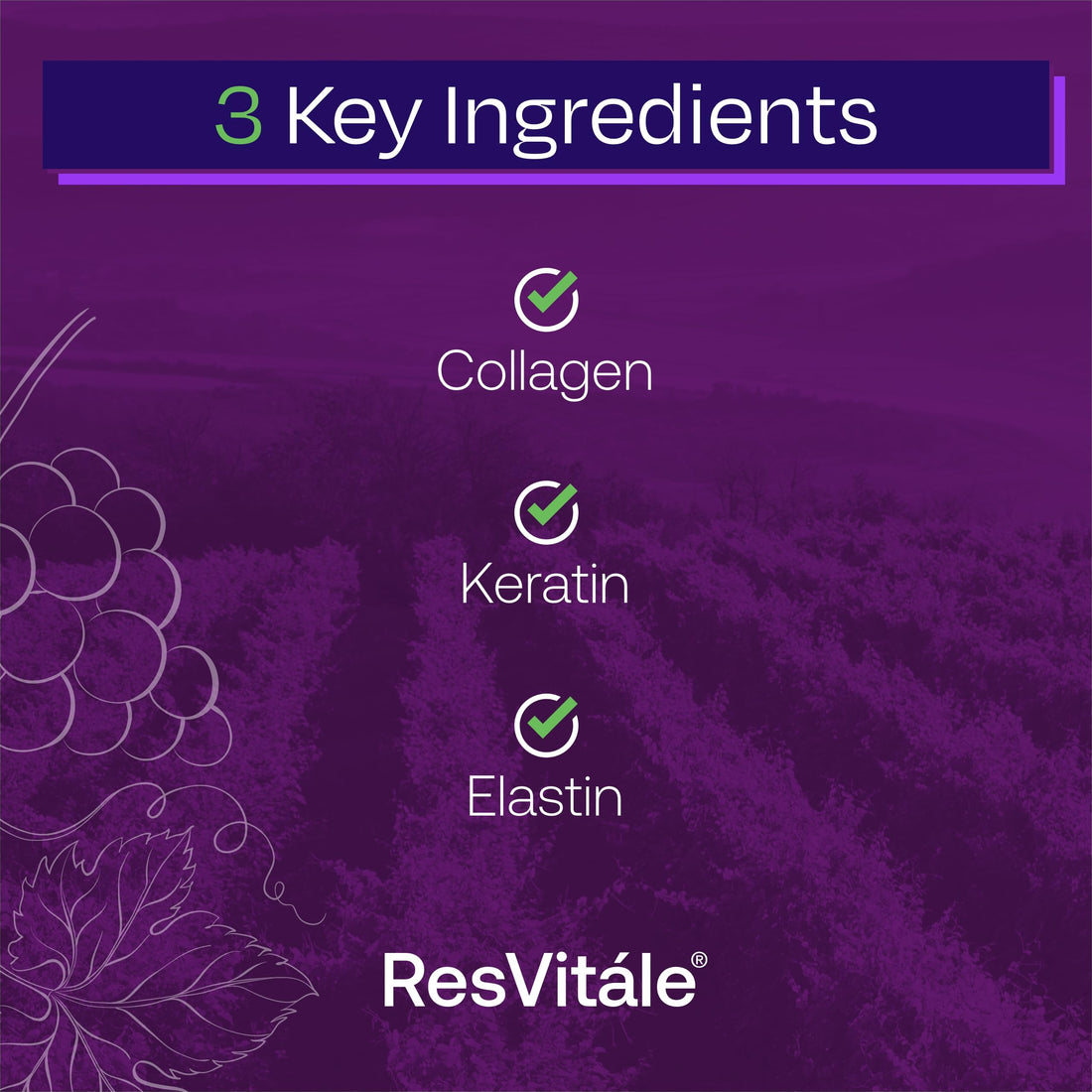 ResVitále Beauty 3 - Skin Care Supplement with Collagen, Keratin & Elastin - 90 Capsules