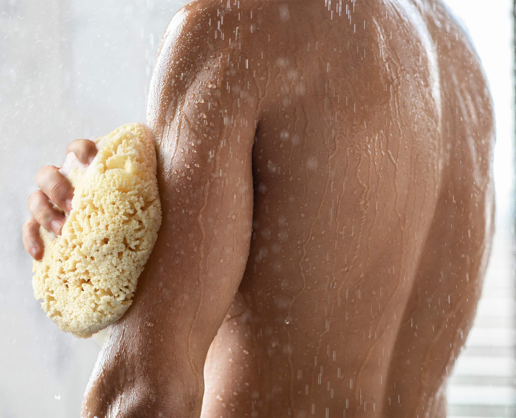 Real Sea Sponge for Men - Extra Large 6-7, Totally Natural, Kind on Skin for an Invigorating Shower, Supplied in Breathable Mesh Bag. Great for The Gym, Grooming, Bath & Body Gift by Constantia Man