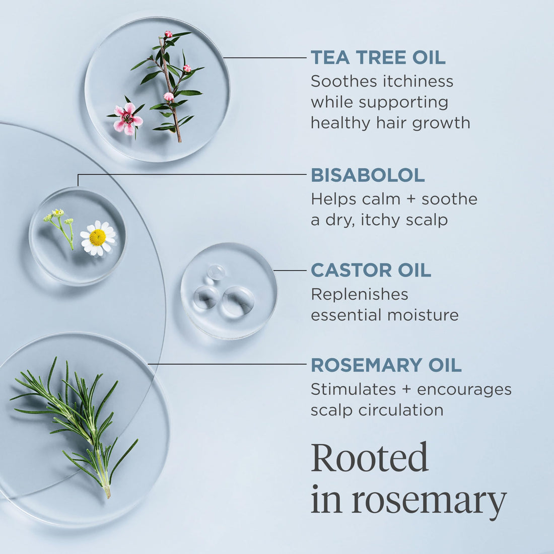 Briogeo Scalp Revival Rosemary Pre-Wash Oil, Hair and Scalp, Dry Scalp Treatment for Stronger and Longer Hair, Soothe Dry Scalp, Lipids and Vitamins, Deep Moisture, Vegan, Cruelty-Free, 3.4 fl oz