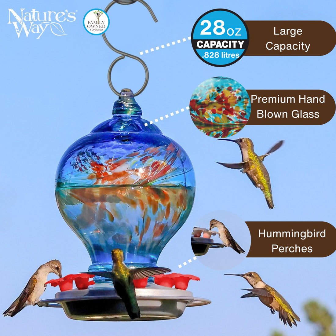 Nature's Way Bird Products Sunny Day AGF3 Hand Blown Artisan Gravity Hummingbird Feeder, 28 Oz